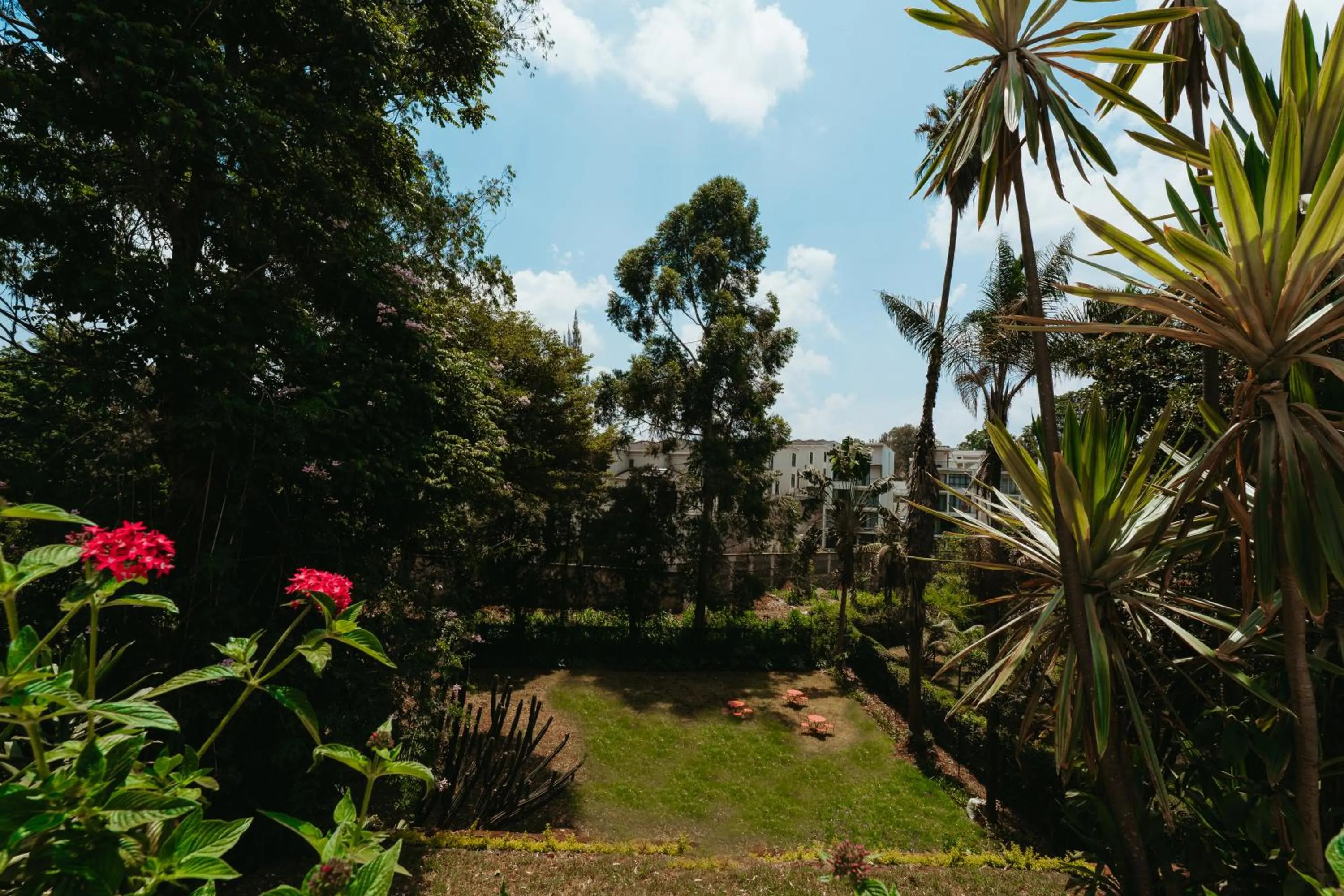 Garden in Céline & Lolo