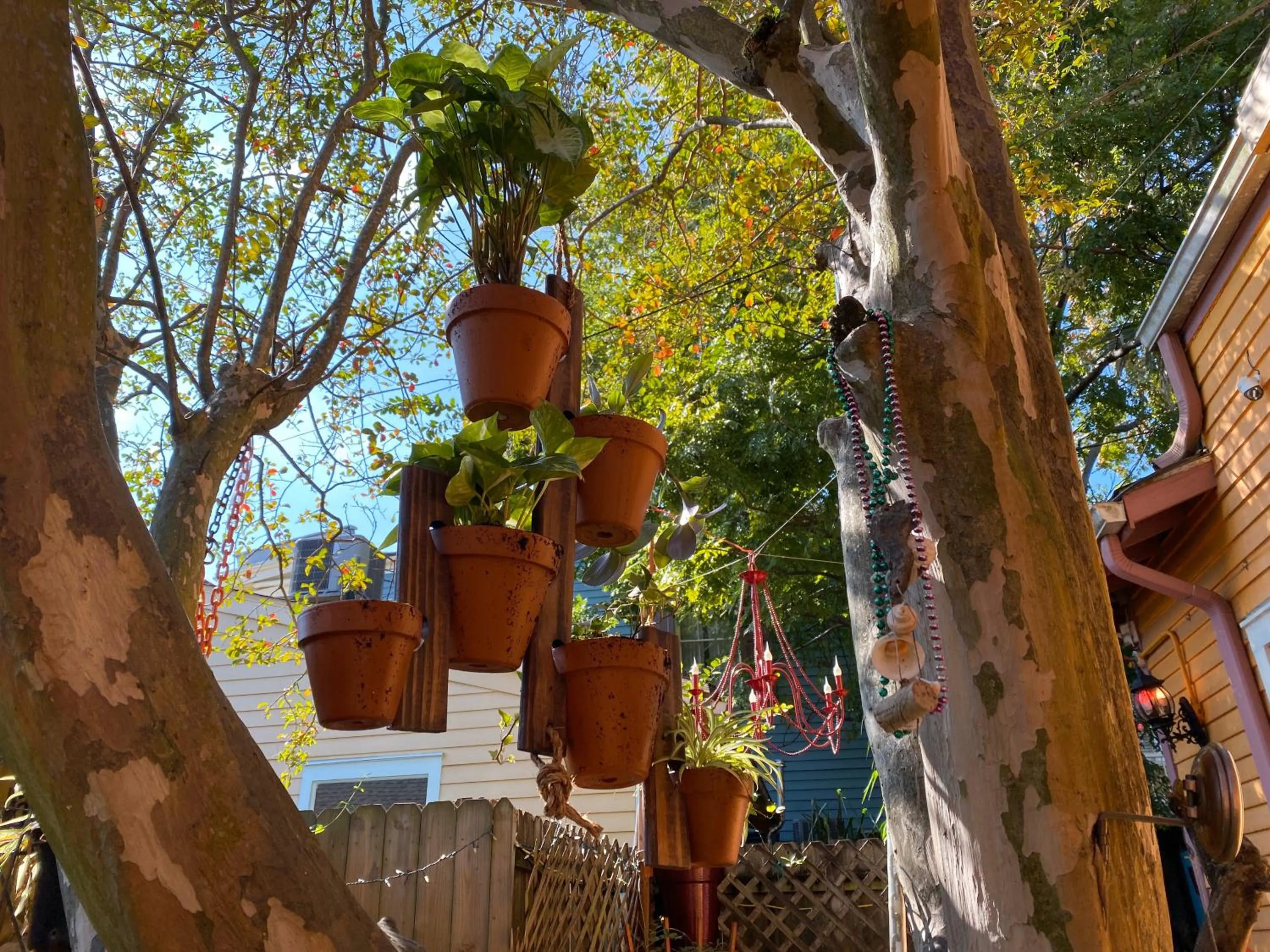 Garden in The Blue60 Marigny Inn