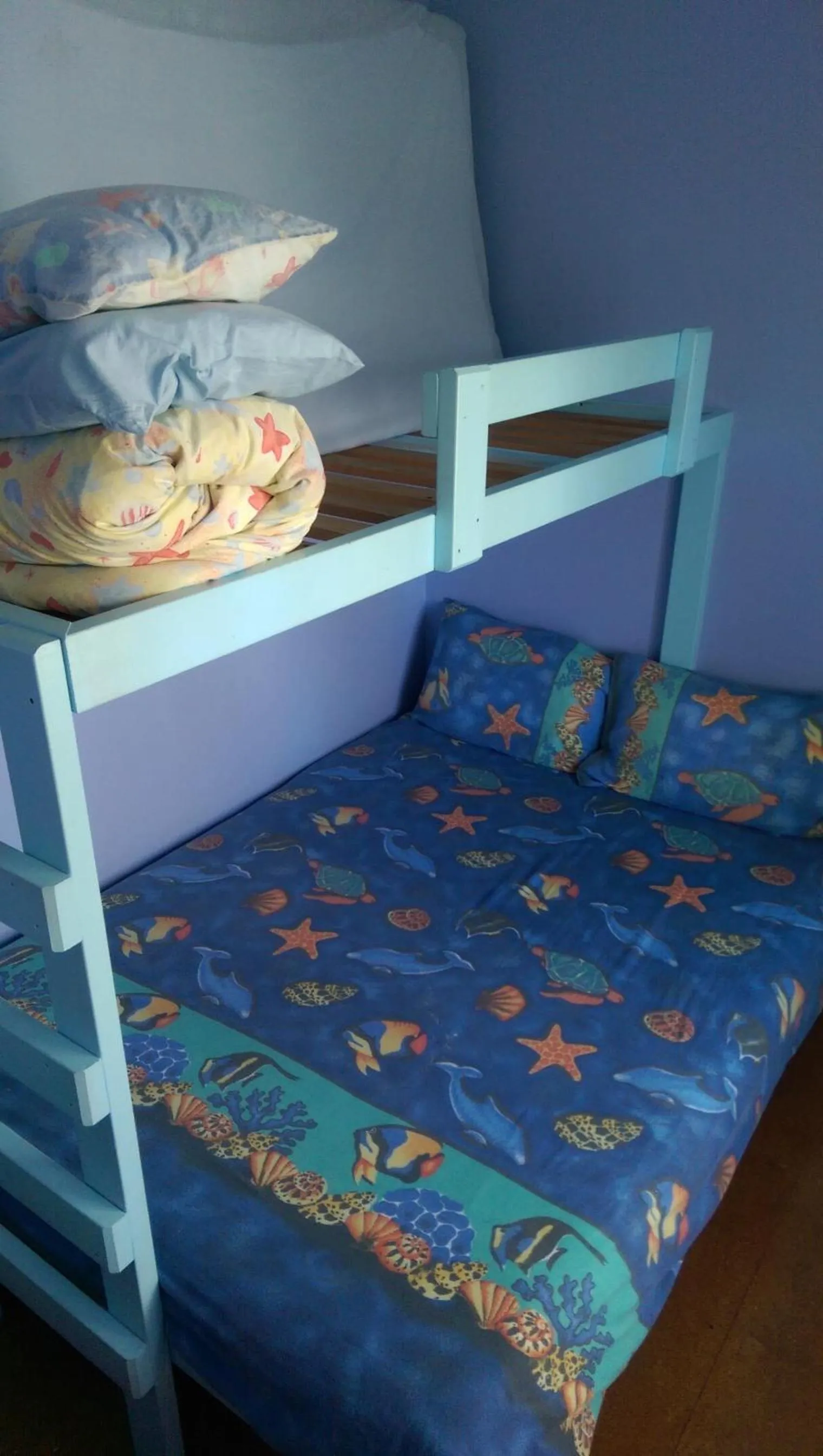 bunk bed, Bed in Anglesea Backpackers