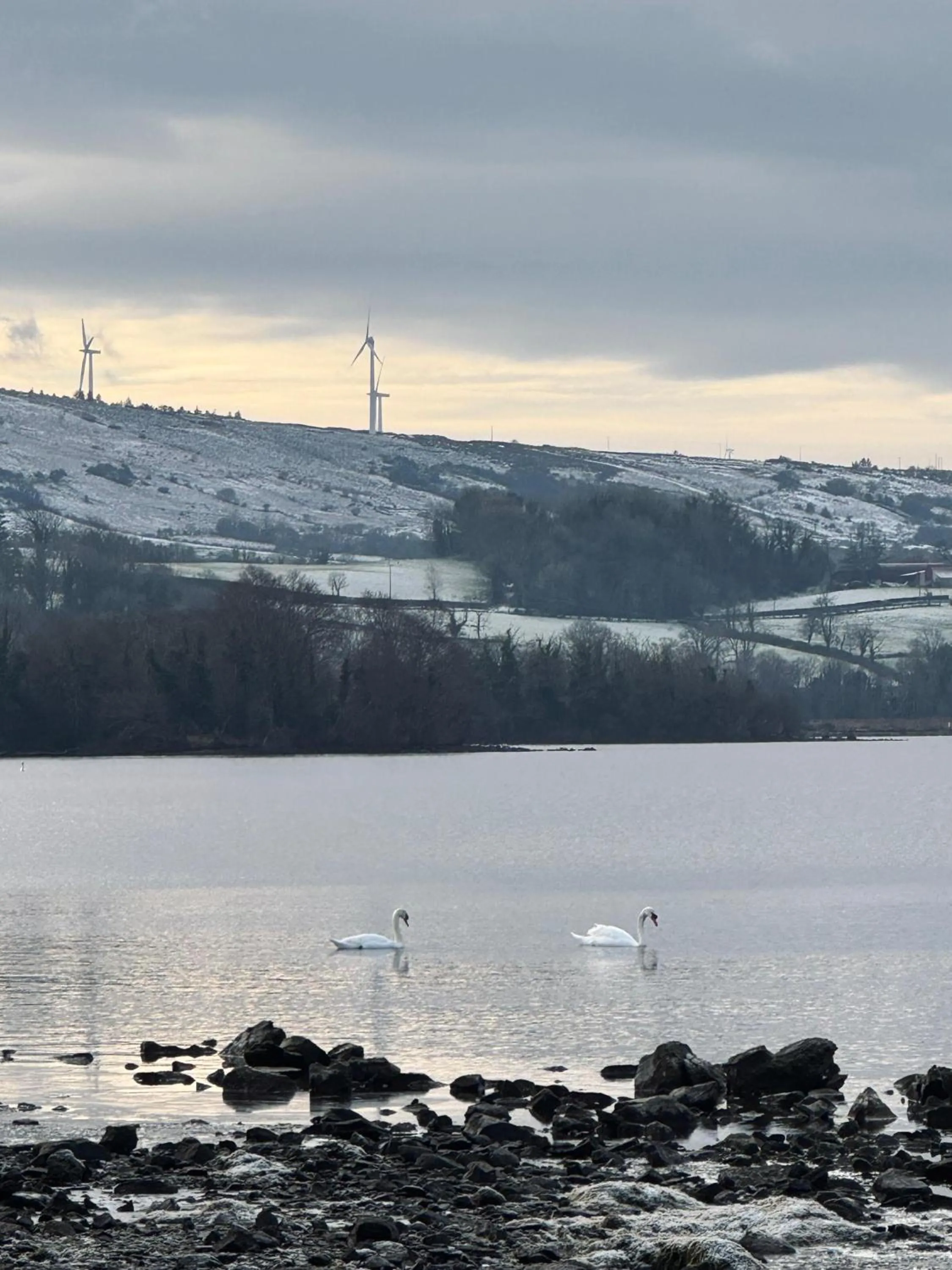 Natural landscape in Dulrush Lodge Guest House, Restaurant and Self-Catering