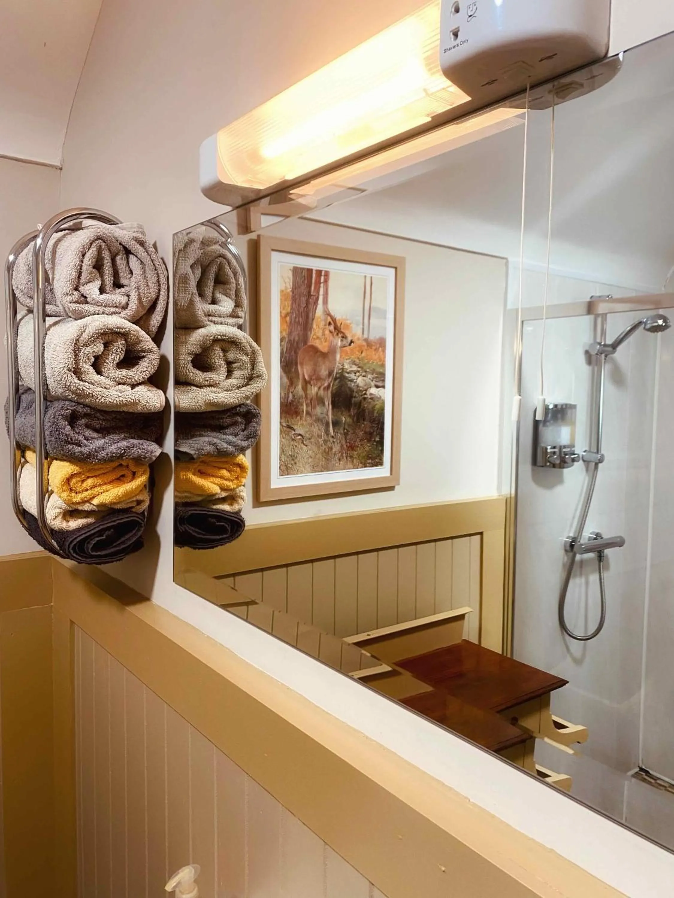 Shower in Dulrush Lodge Guest House, Restaurant and Self-Catering