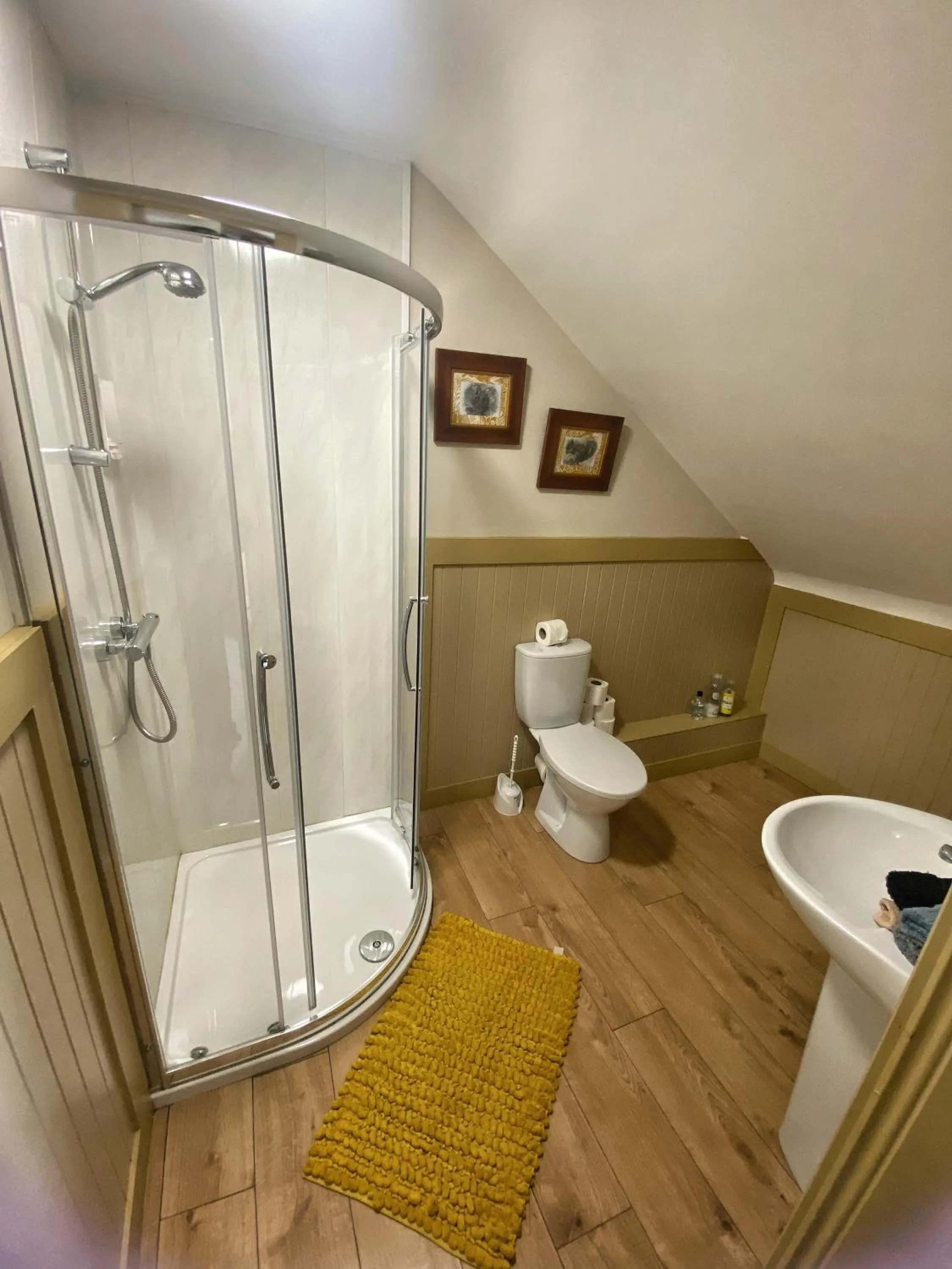 Shower in Dulrush Lodge Guest House, Restaurant and Self-Catering