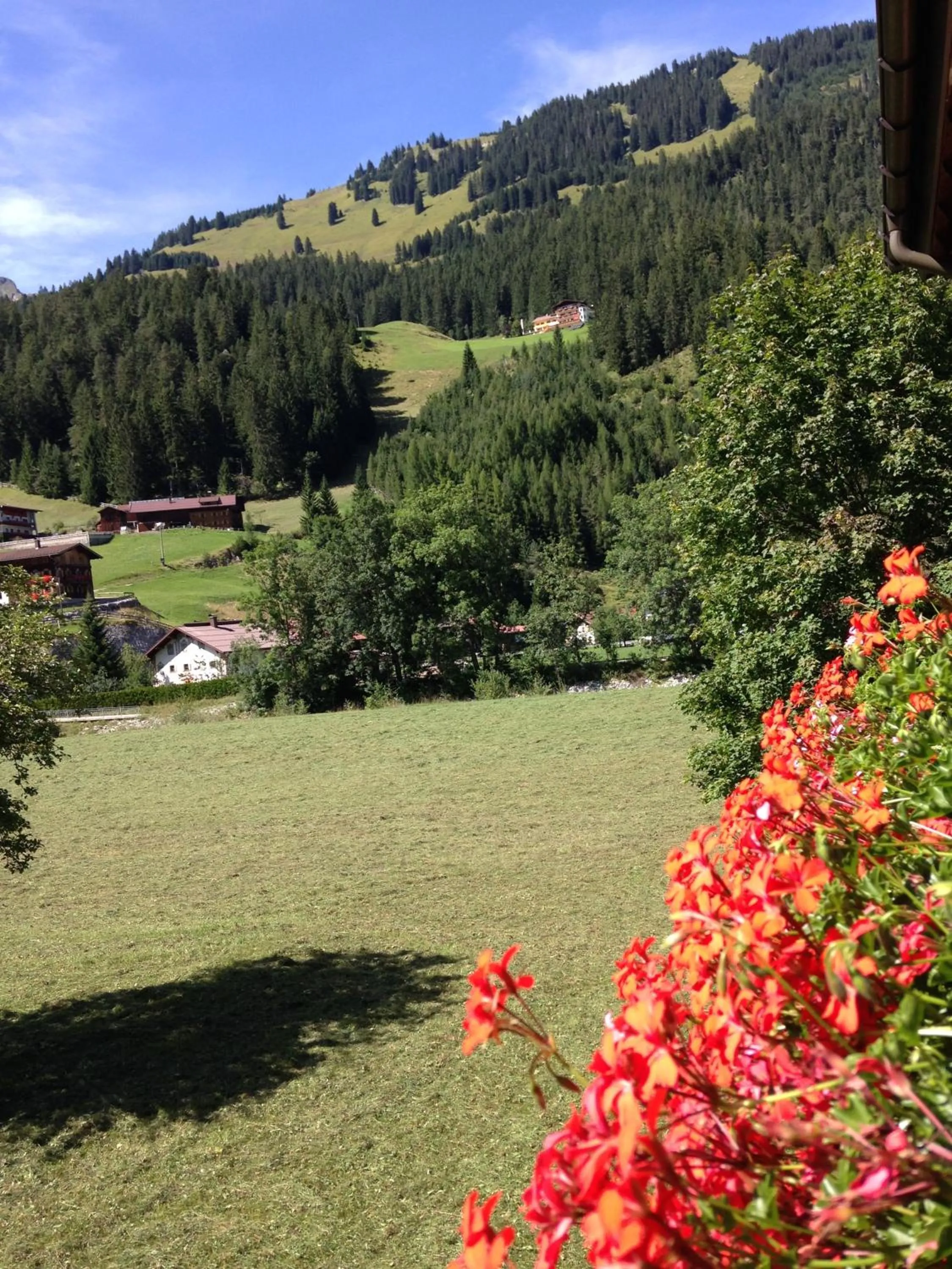 Garden view in Ferienwohnungen Bailom