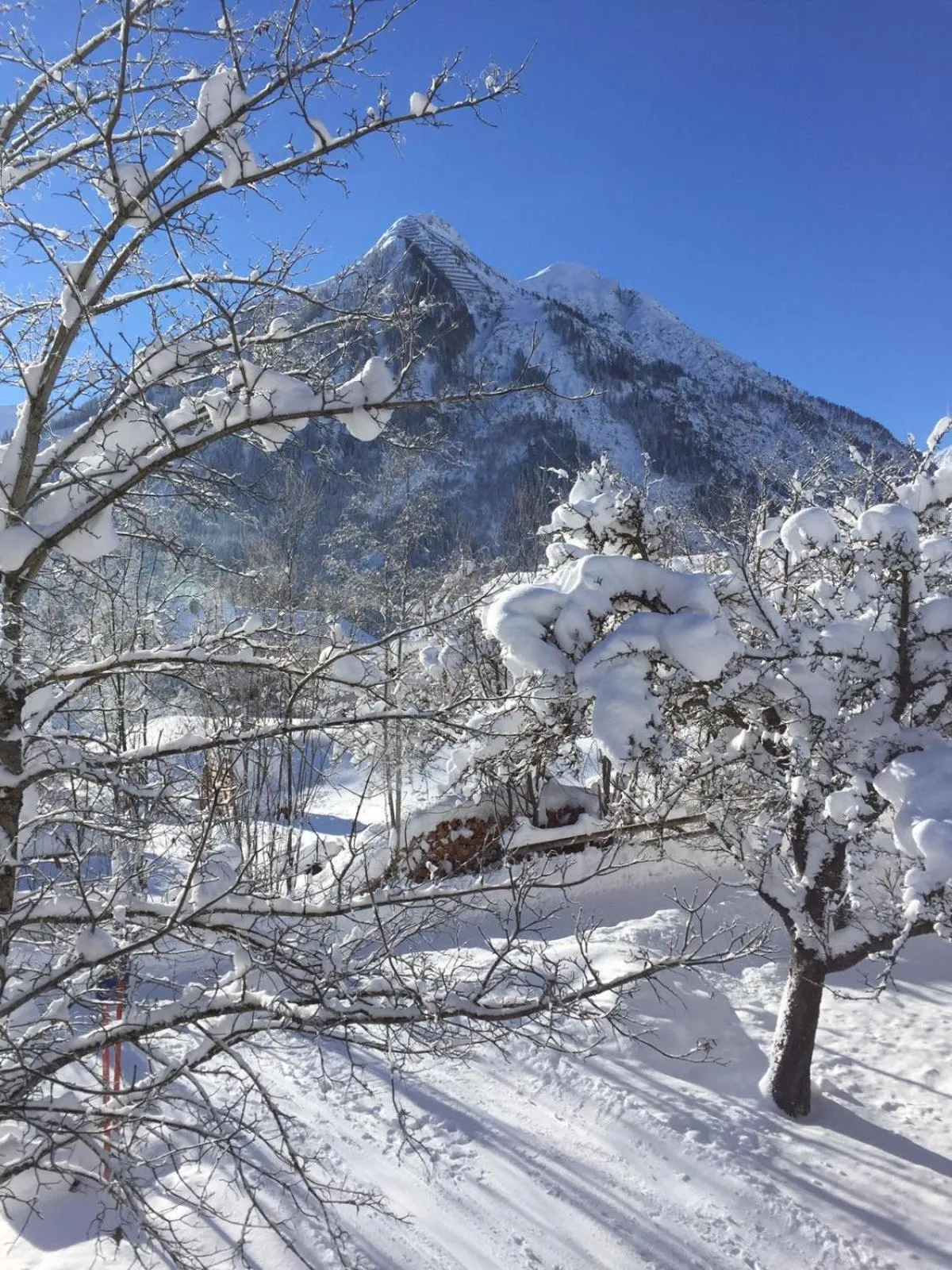 Winter in Ferienwohnungen Bailom