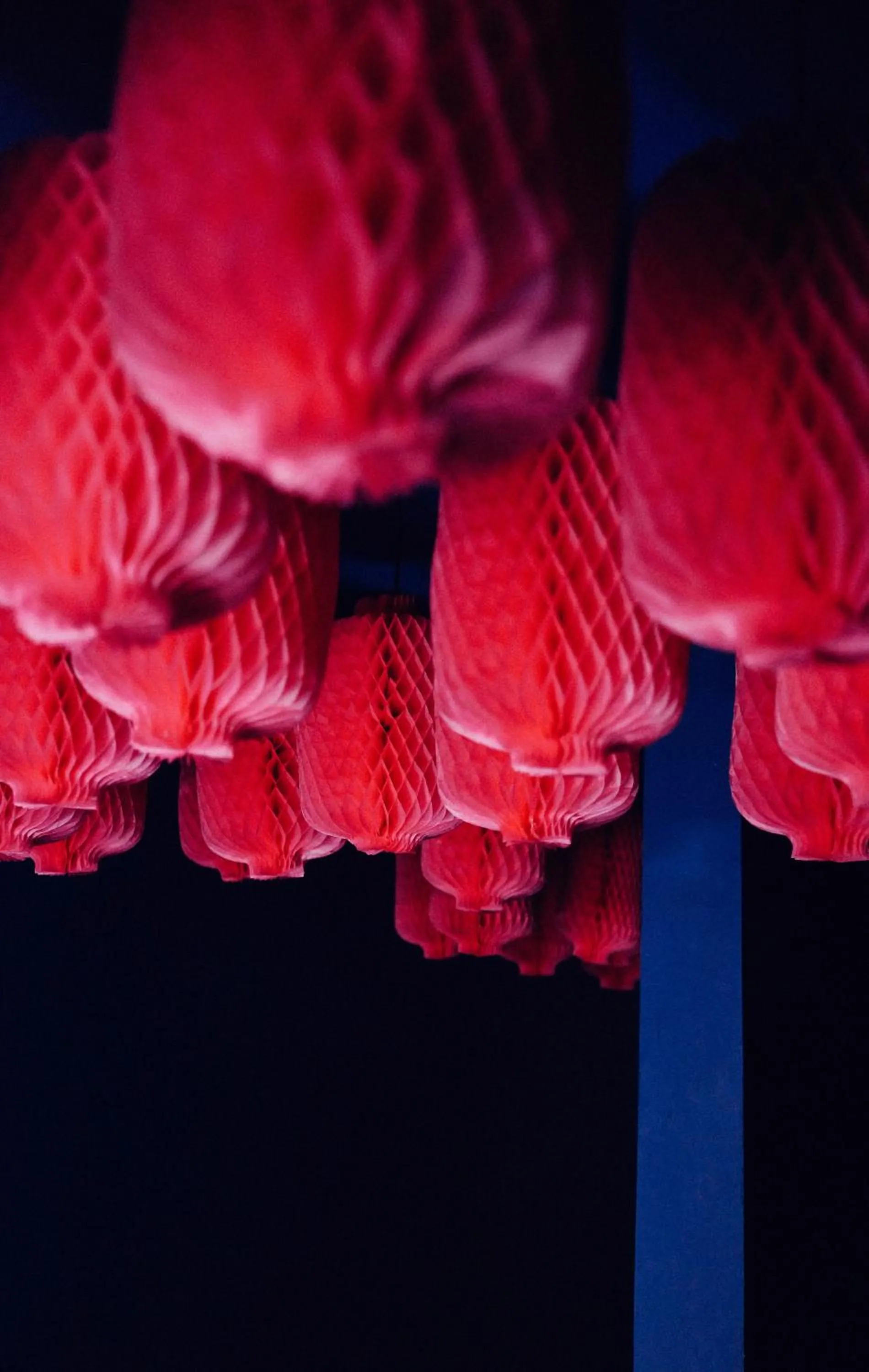 Decorative detail in Hotel Ping Silhouette