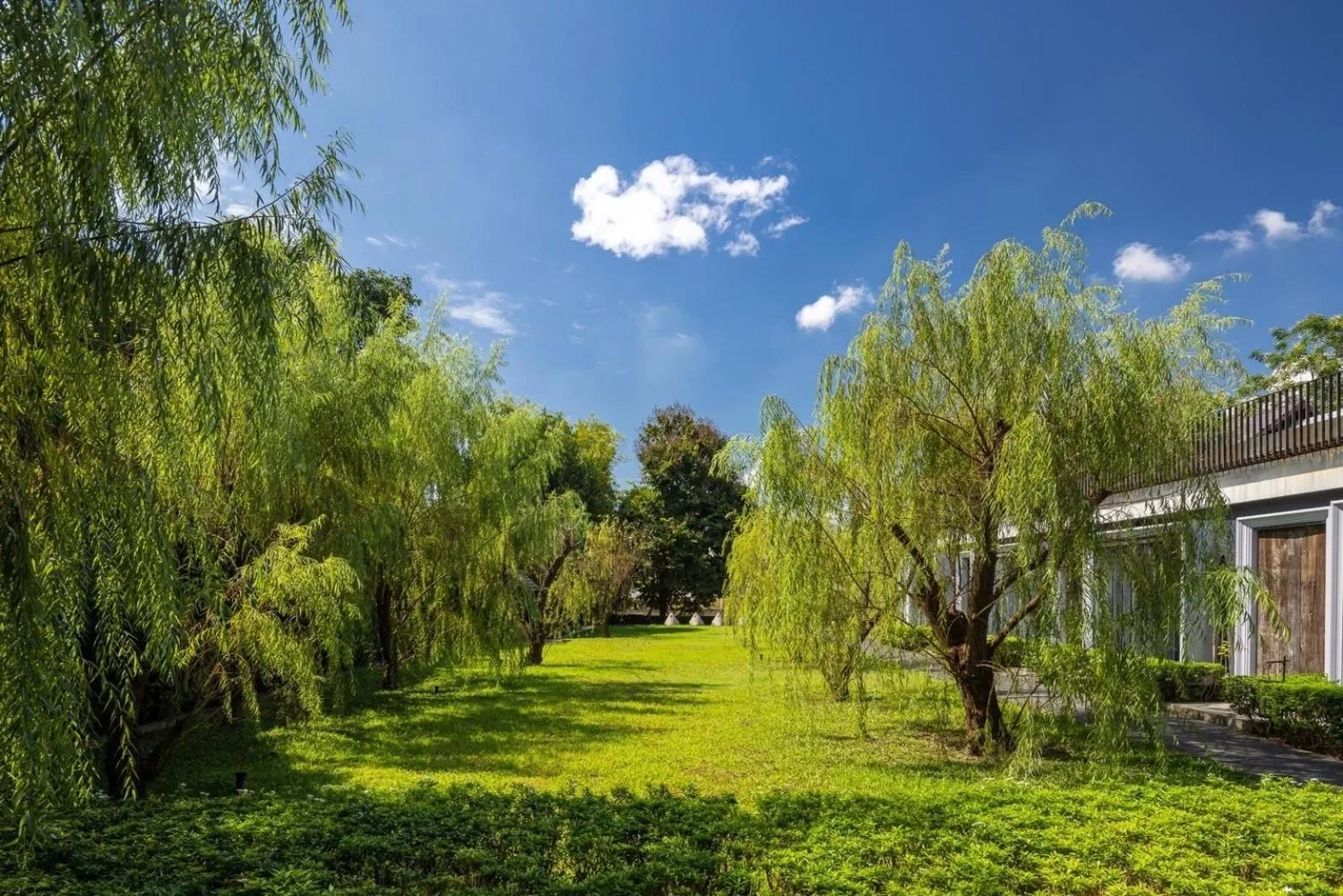 Garden in Hotel Ping Silhouette