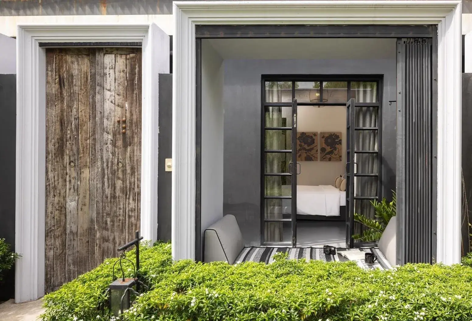 Willow in Hotel Ping Silhouette Willow in Hotel Ping Silhouette