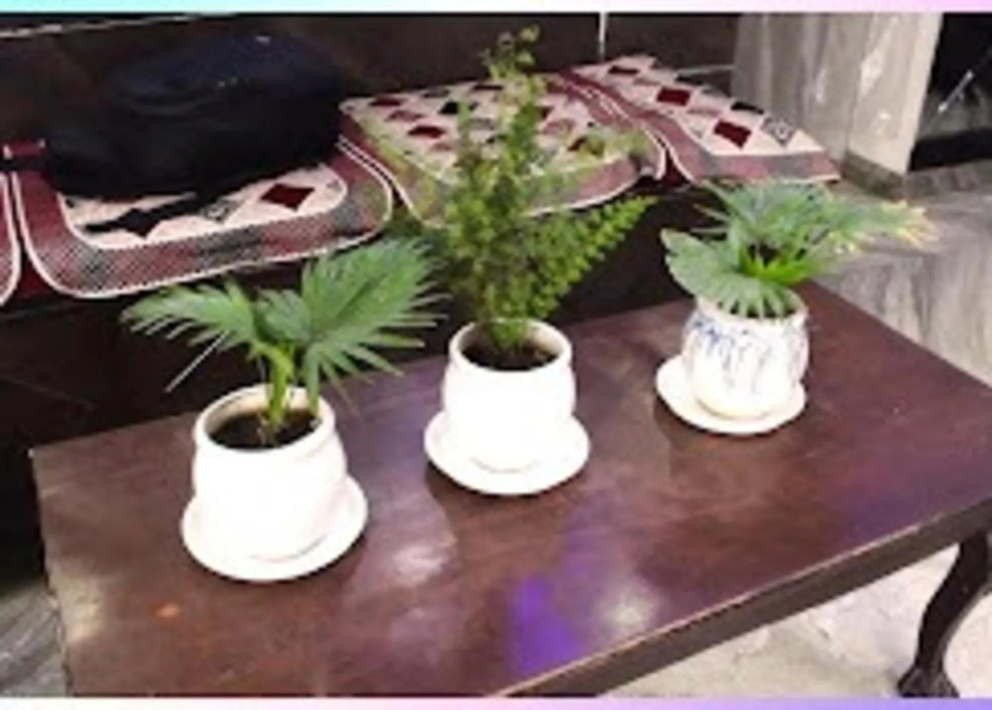 Lobby or reception in Hotel Blessing Inn