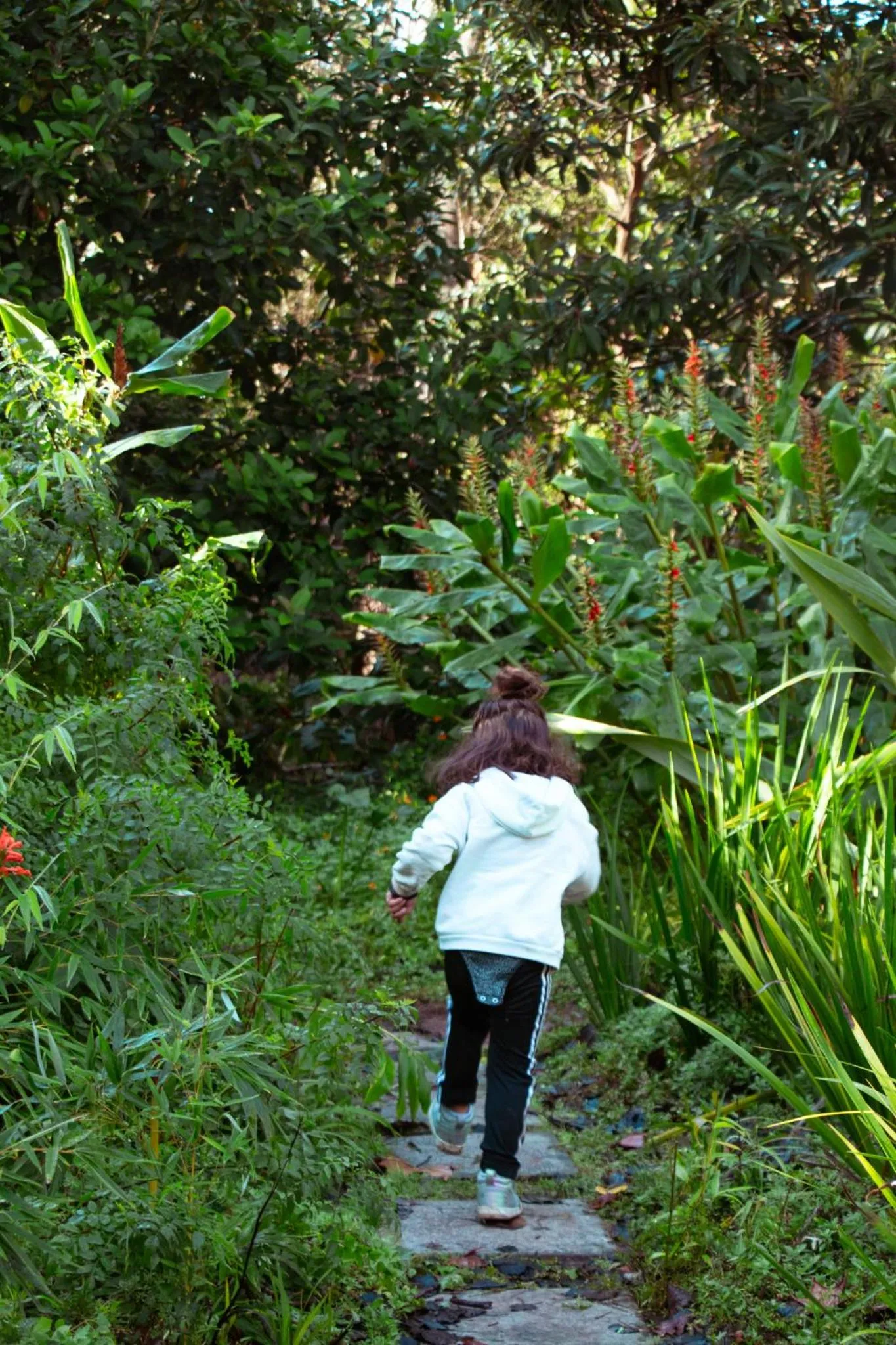 Garden in Southern Light Country House