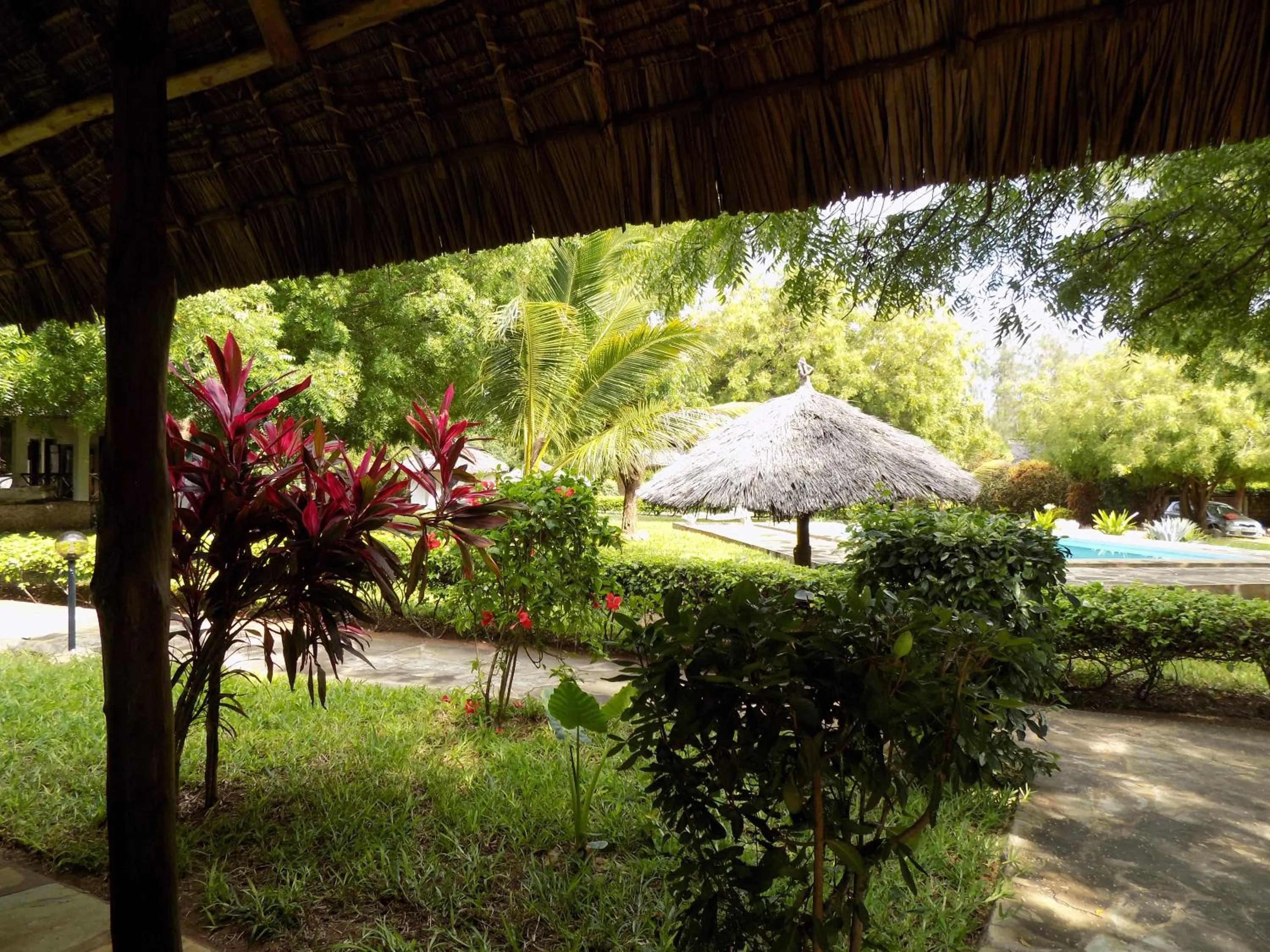 Garden in Eco Villas Watamu