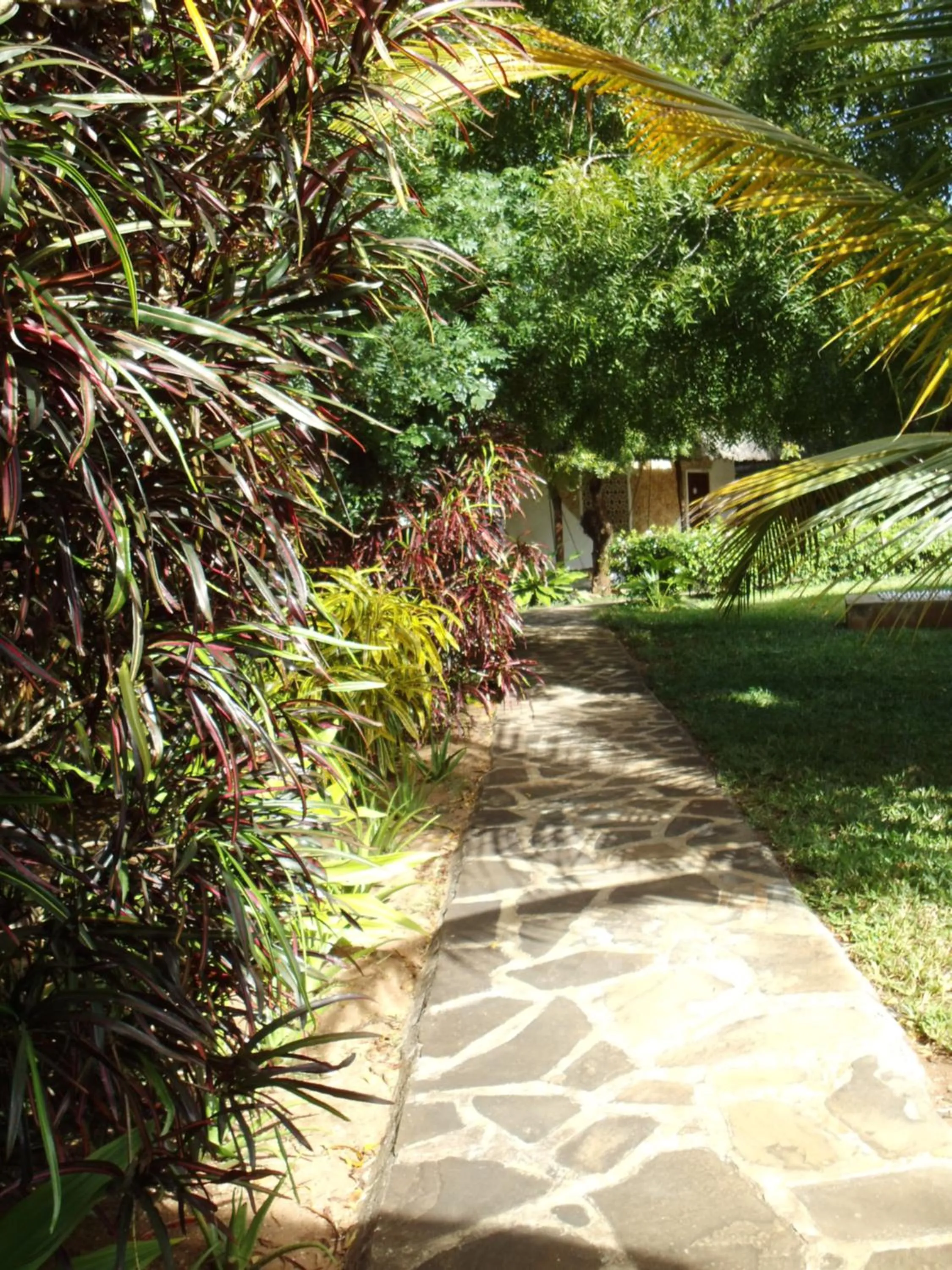 Garden in Eco Villas Watamu