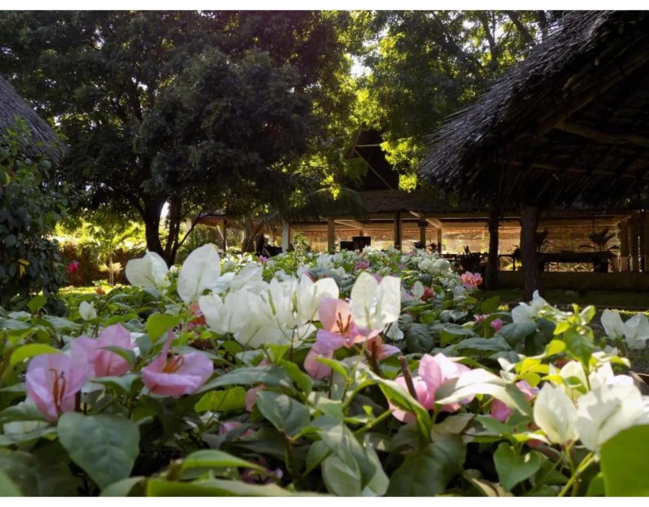 Decorative detail in Eco Villas Watamu