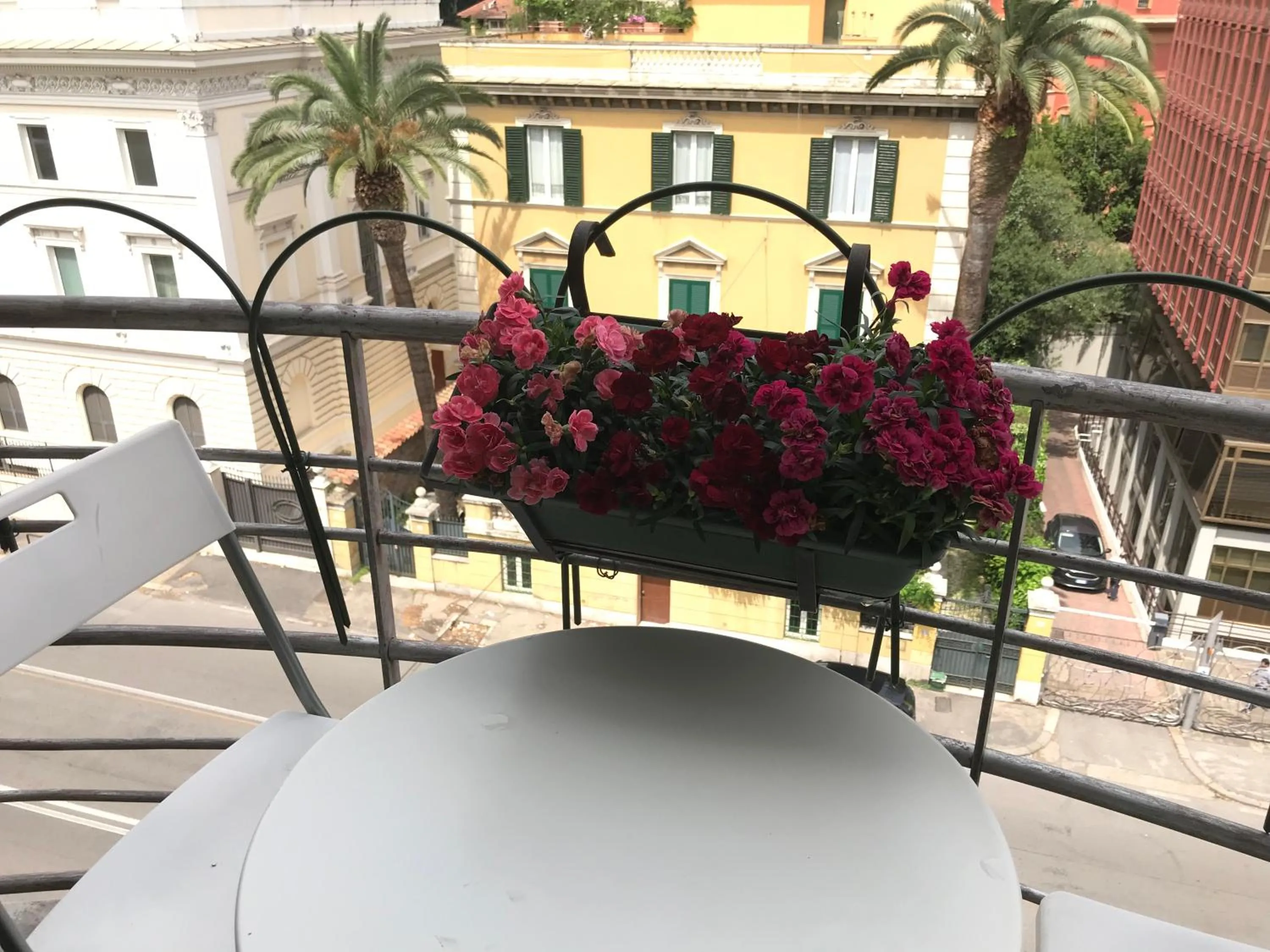 Bird's eye view in Morgagni House