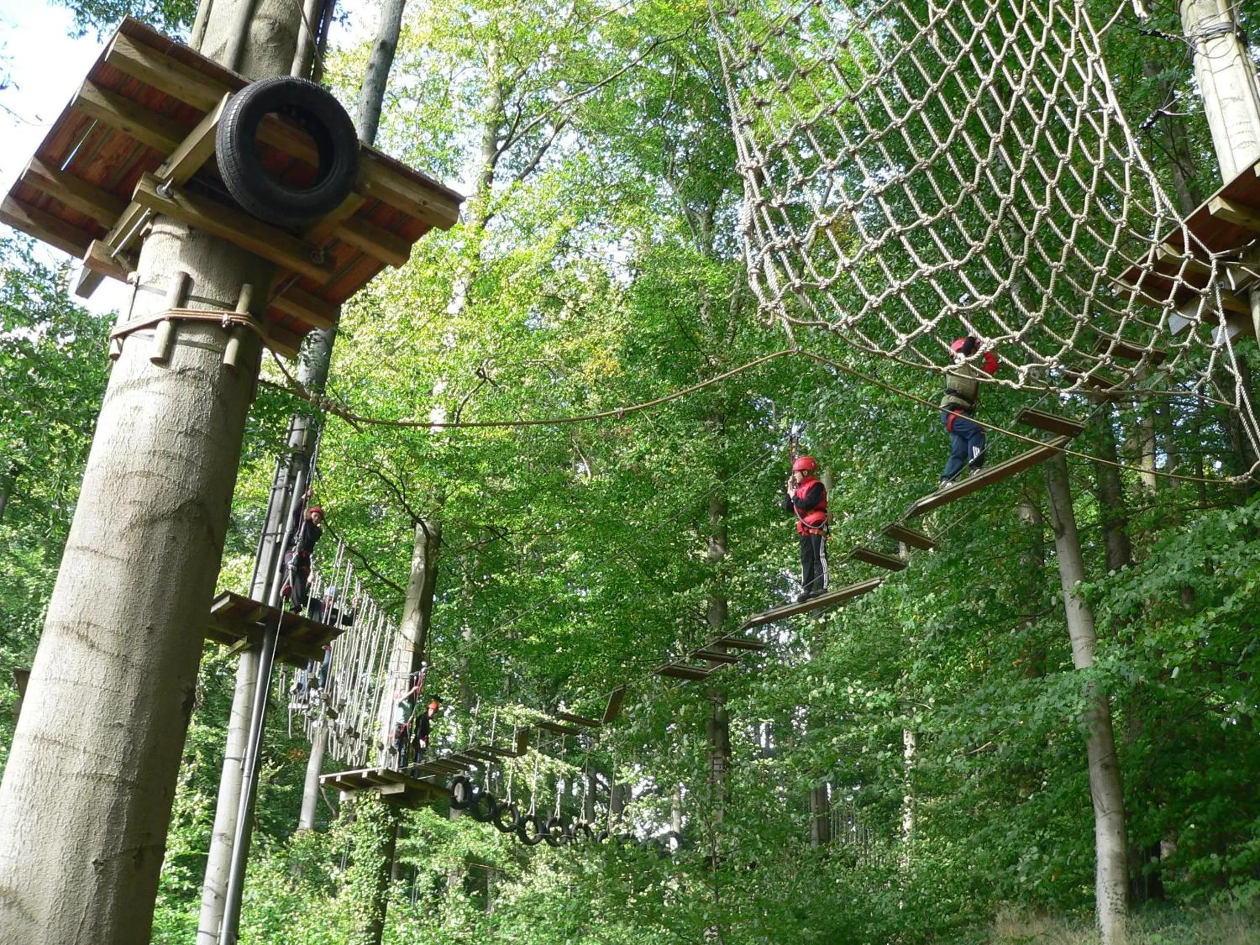 Activities in Villa Sonntag