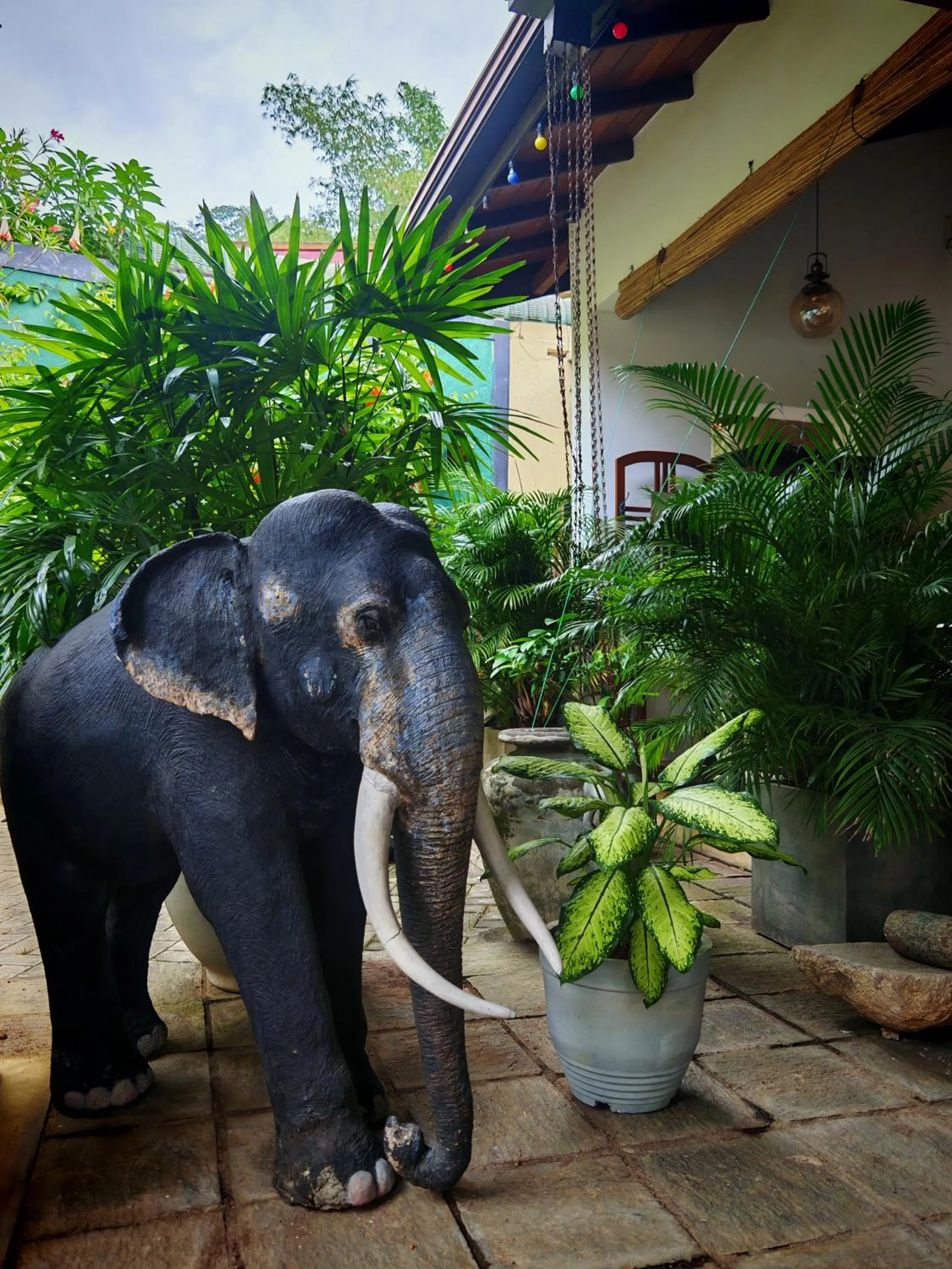 kandy lake reach hotel