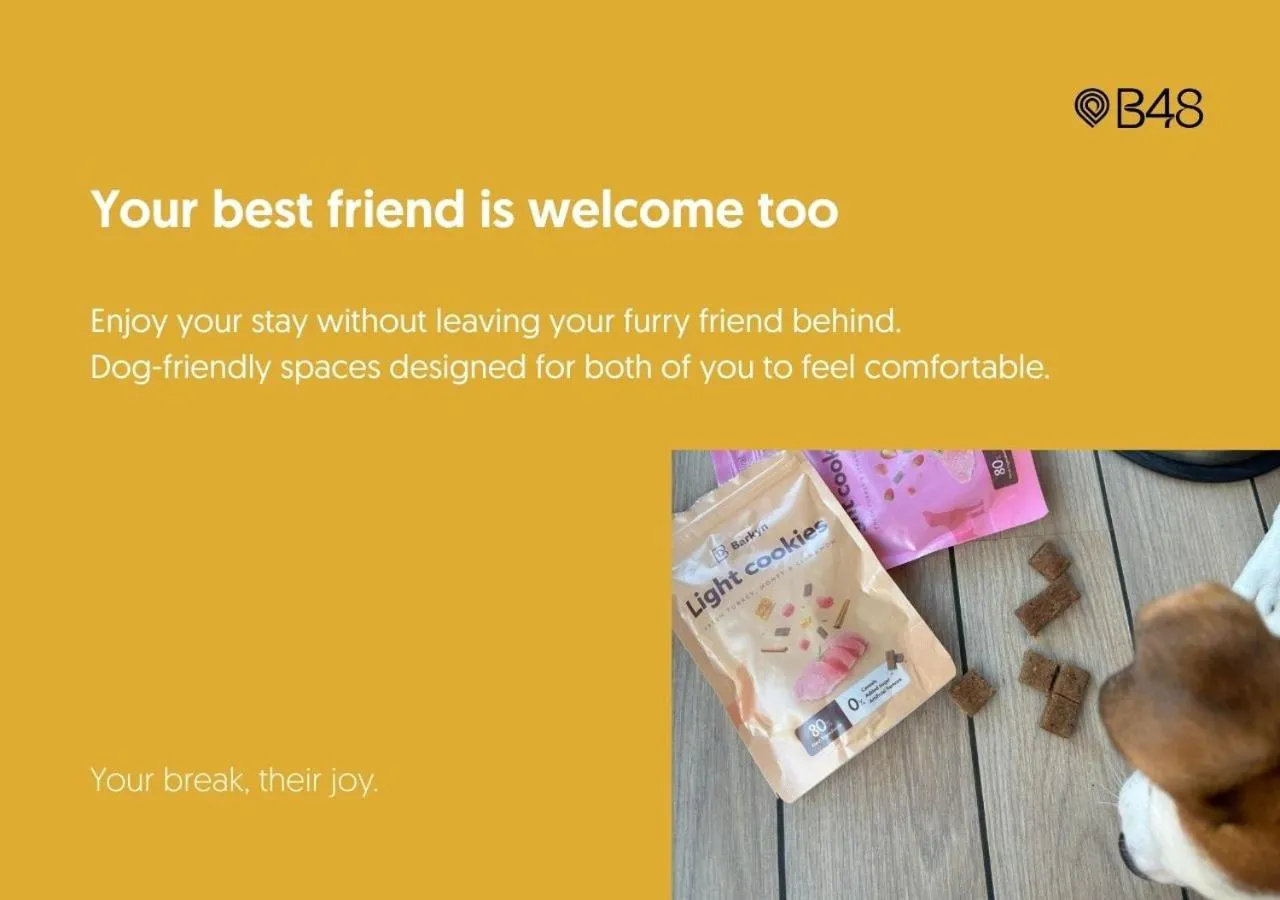 Text overlay in B48 Valencia Feria