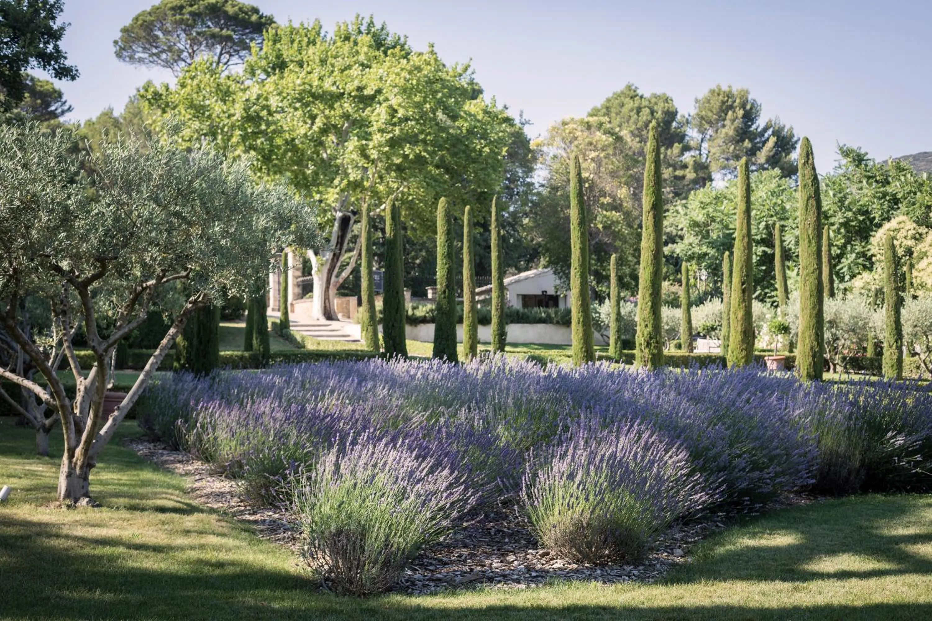Garden in Domaine de Fontenille