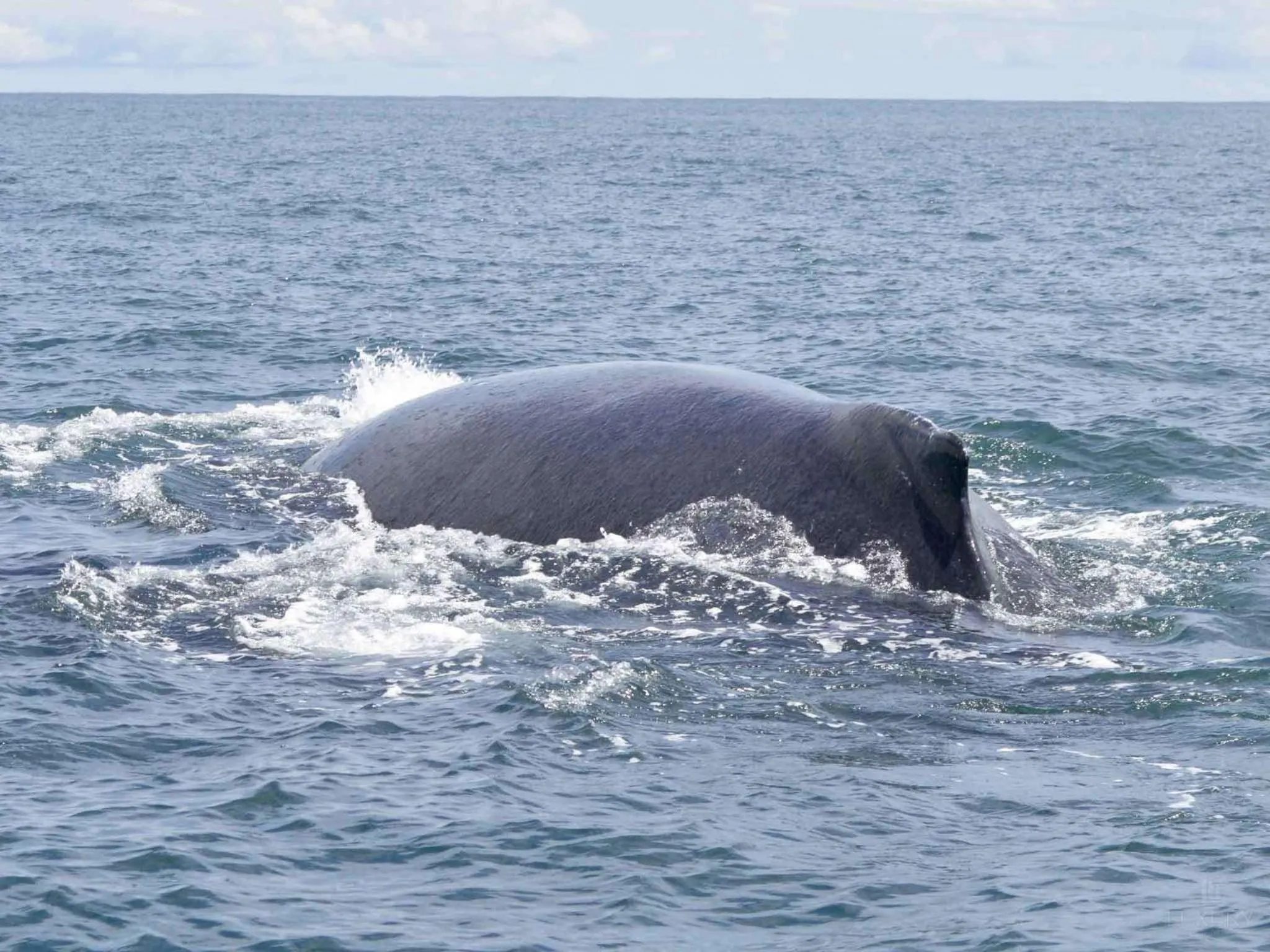 Activities in Hotel Costa Choco