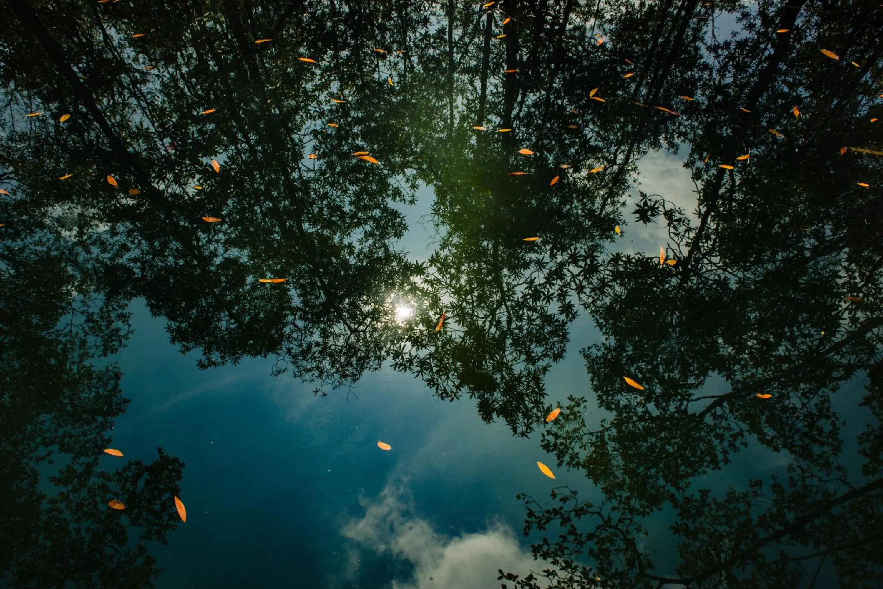 Activities in Hotel Costa Choco