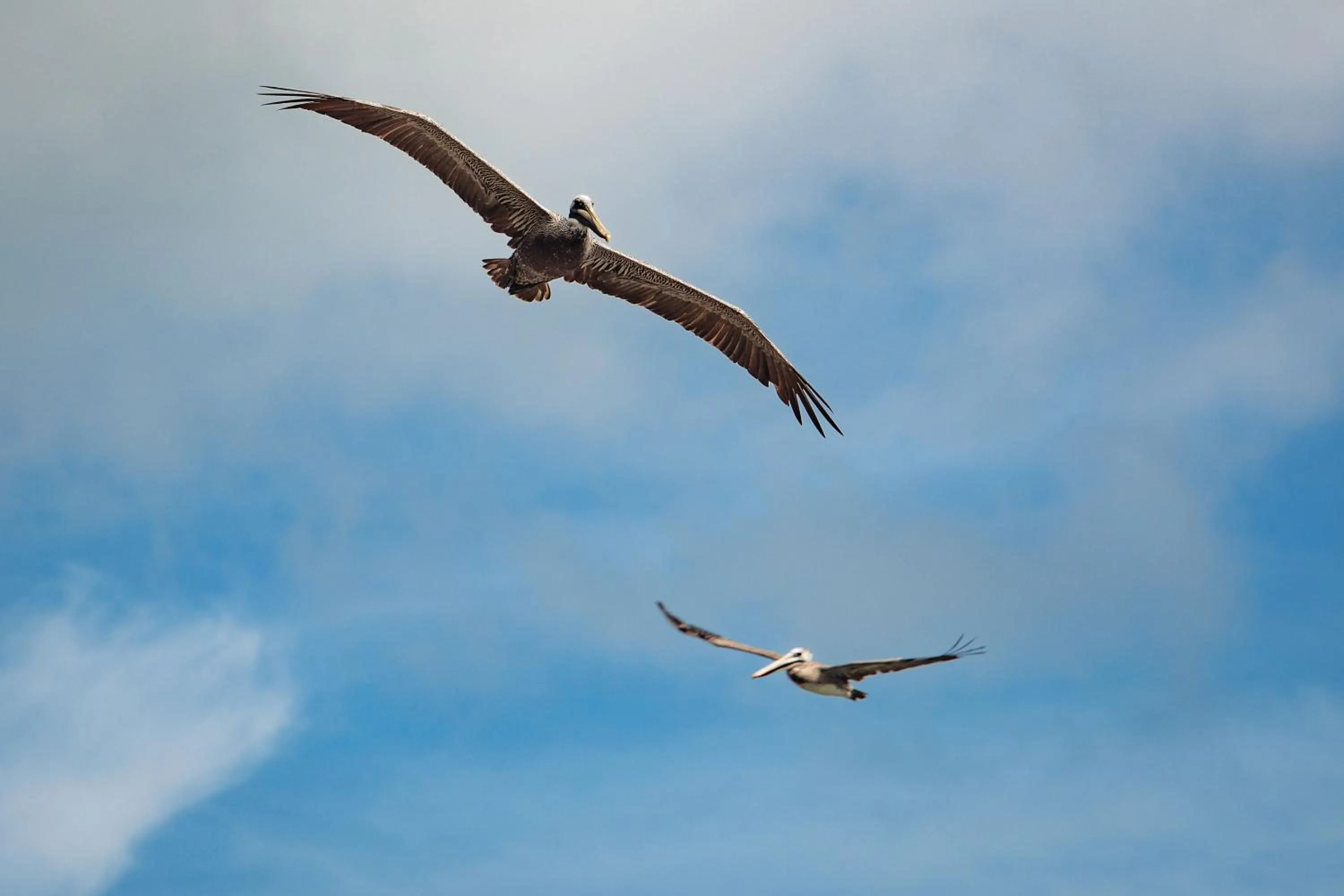 Natural landscape in Hotel Costa Choco