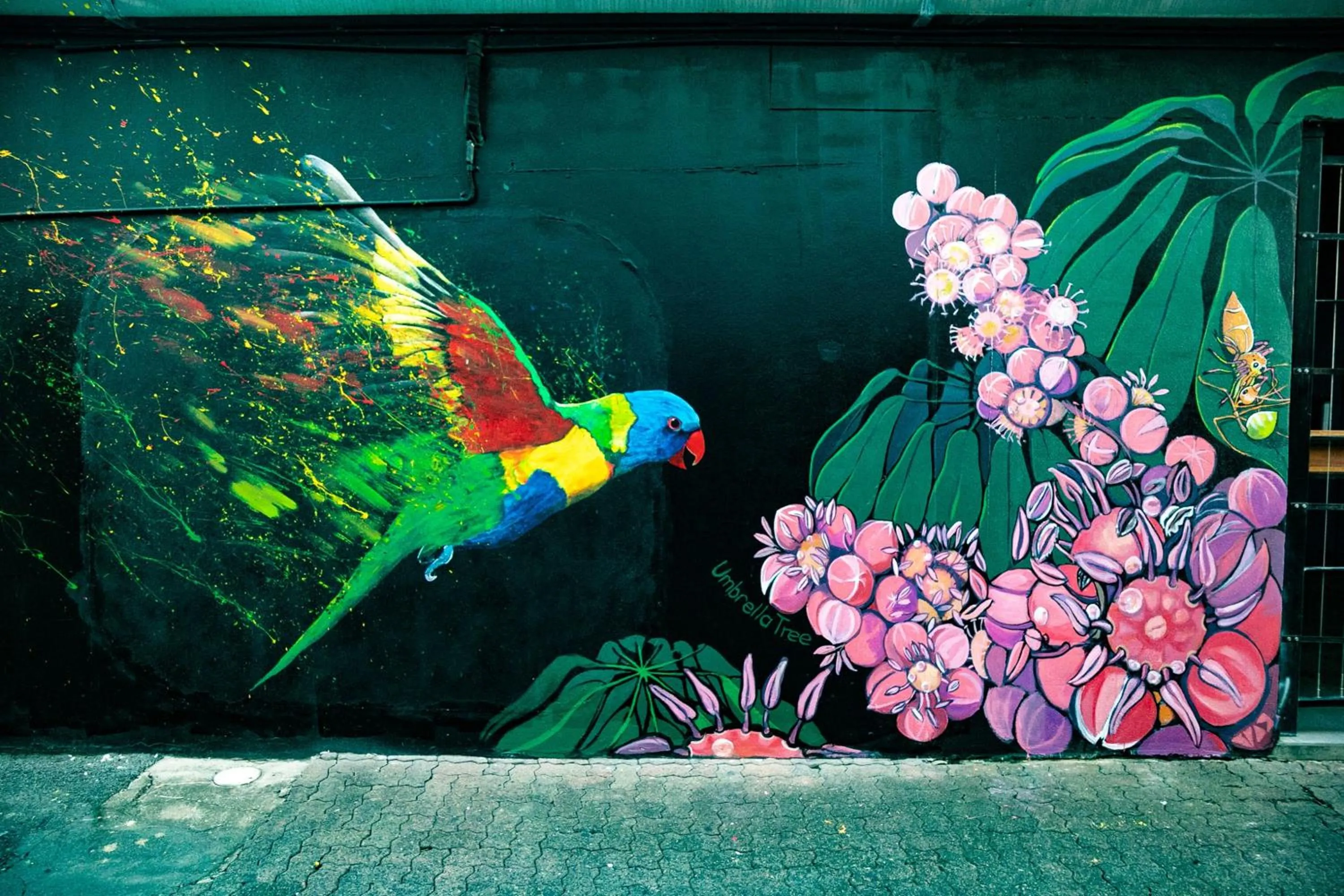 Activities in Riviera Mackay