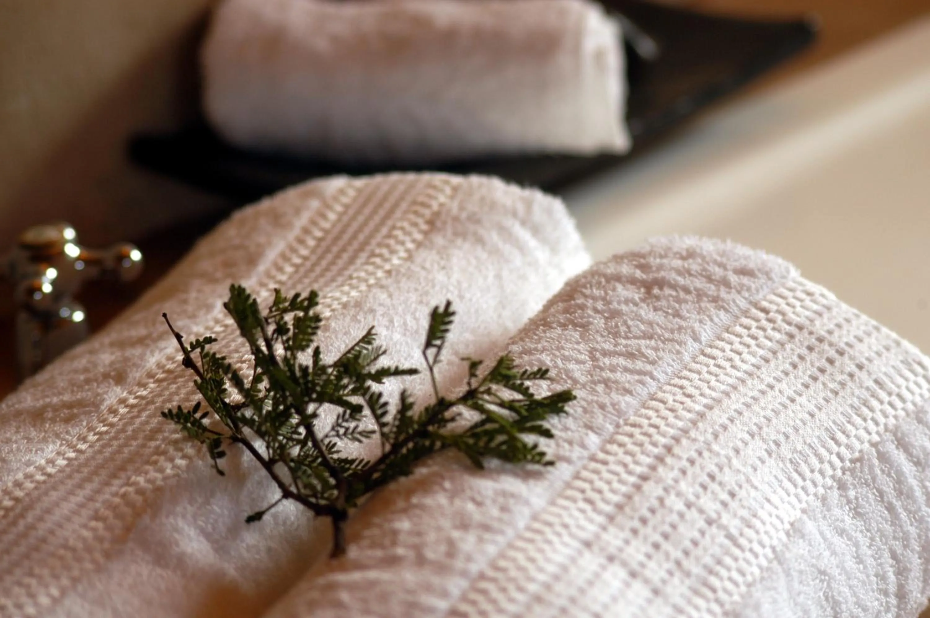 Bathroom, Bed in Bukela Game Lodge - Amakhala Game Reserve