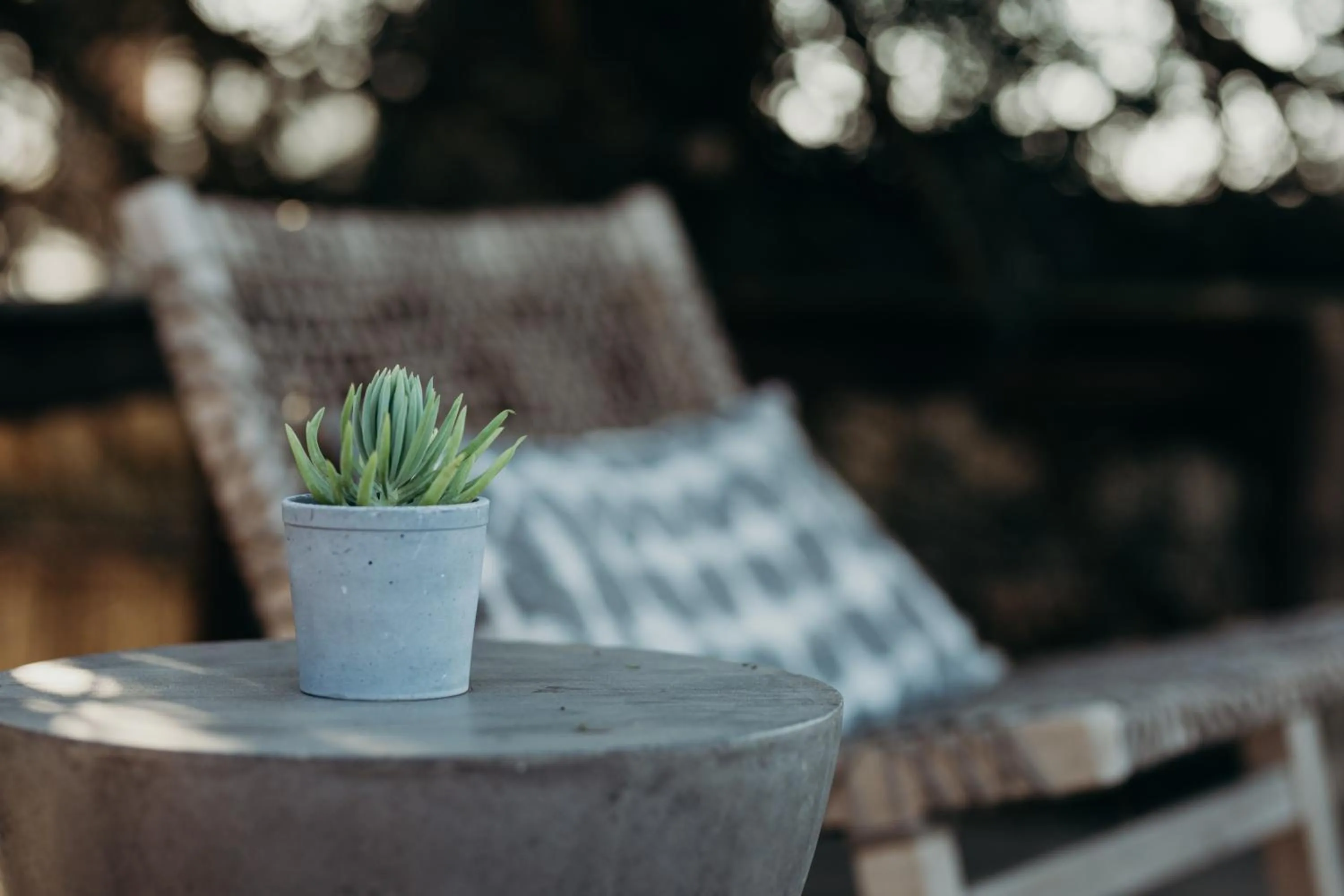 Patio in Bukela Game Lodge - Amakhala Game Reserve