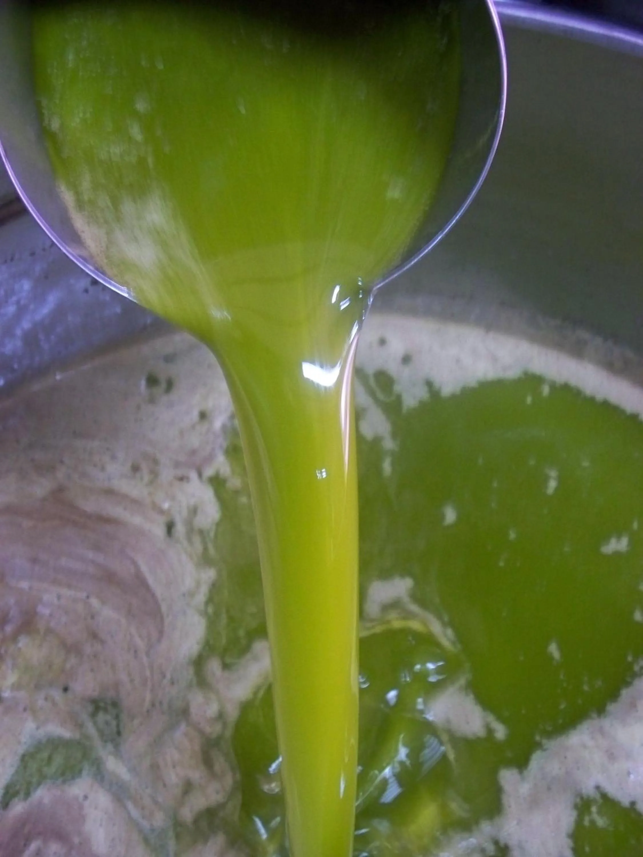 Drinks in B&B Baciami Ancora