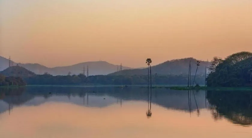 Mumbai Metro - The Executive Hotel