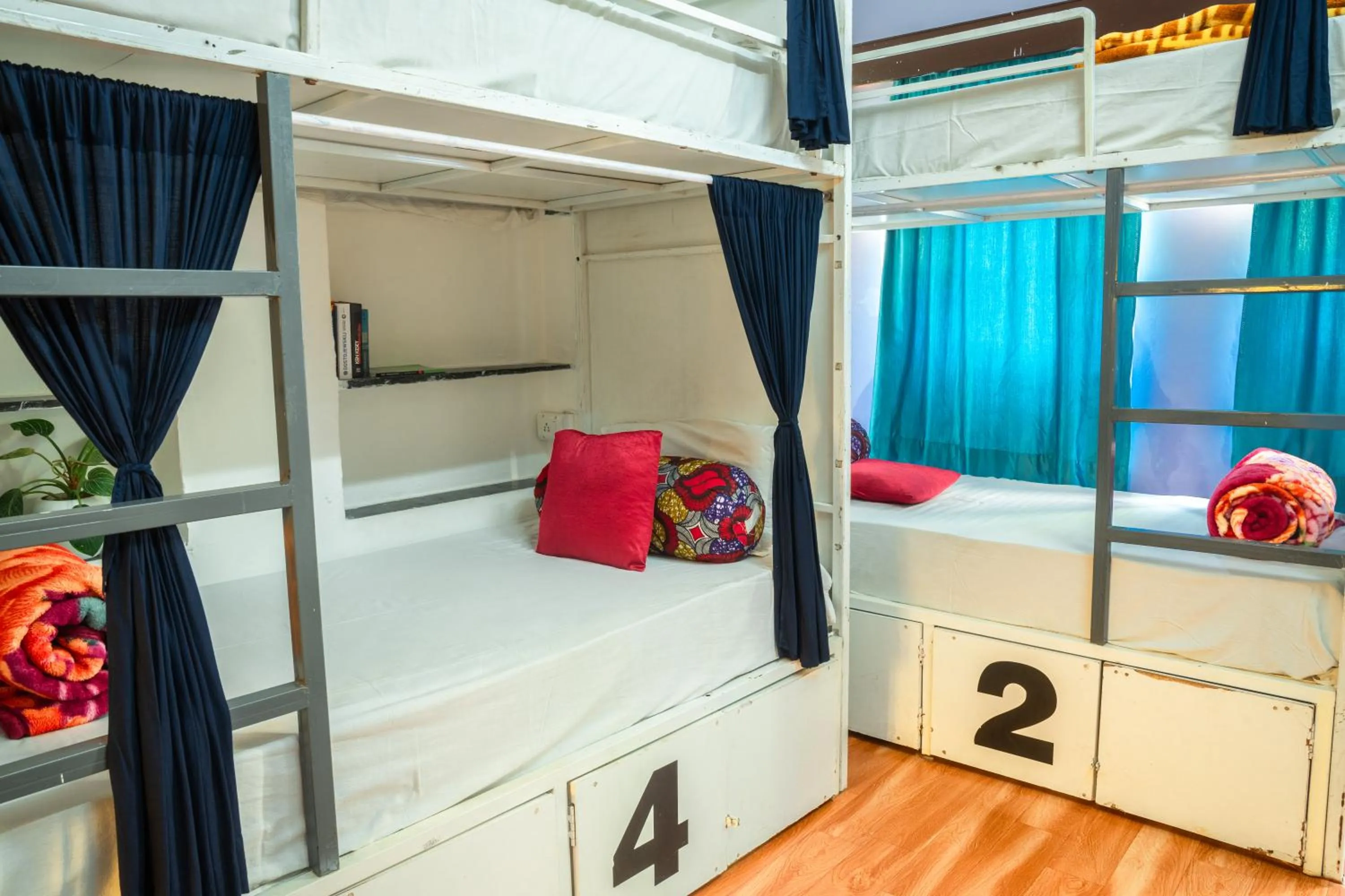 bunk bed, Bed in Dreamyard Udaipur