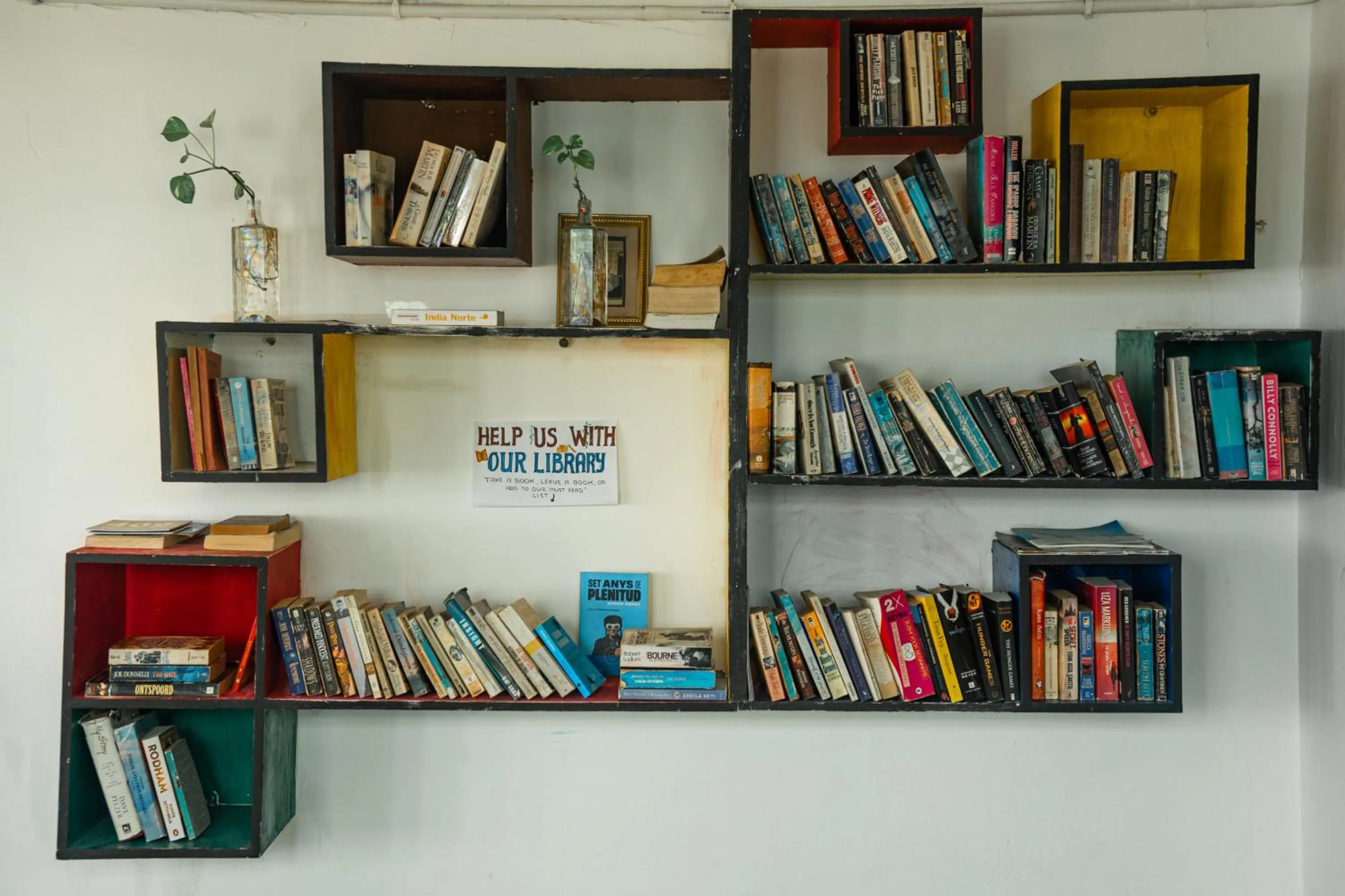 Library in Dreamyard Udaipur