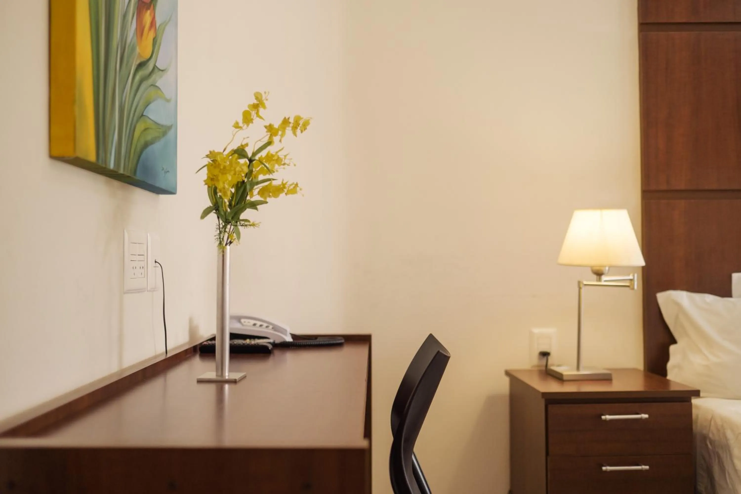 hair dresser, Bed in Ibituruna Center Hotel