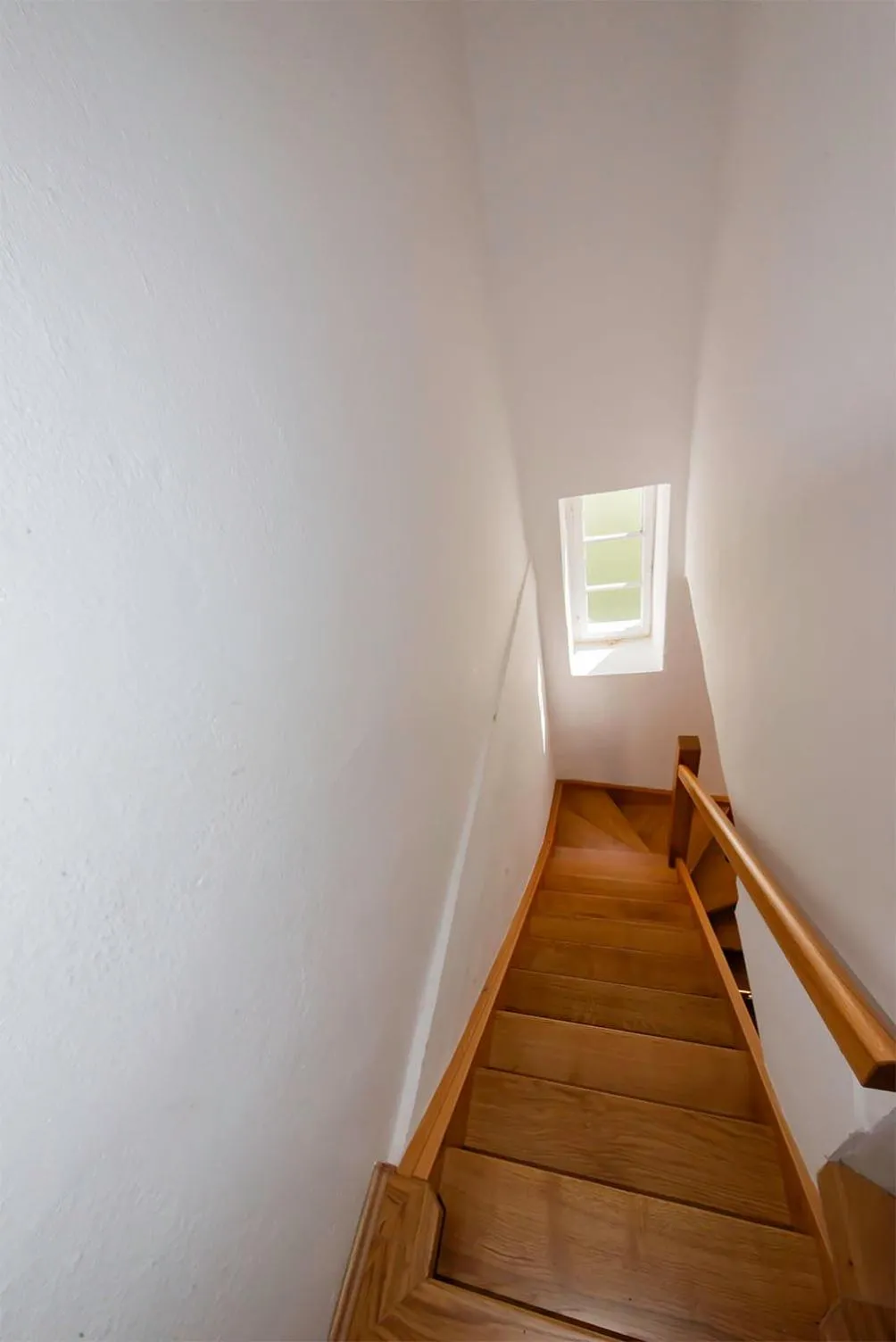 Photo of the whole room in Apartment Plasa