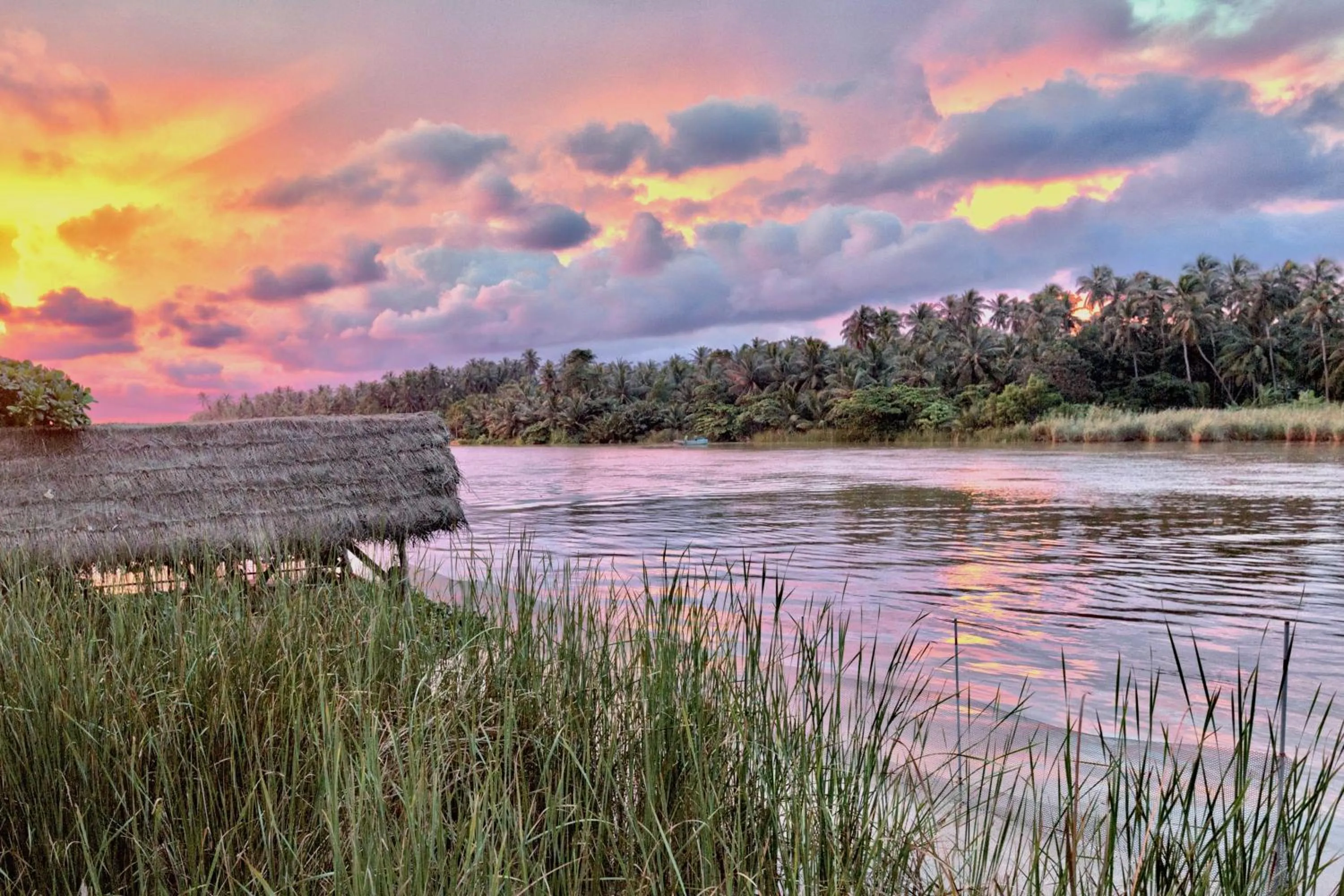 View (from property/room) in Waterland