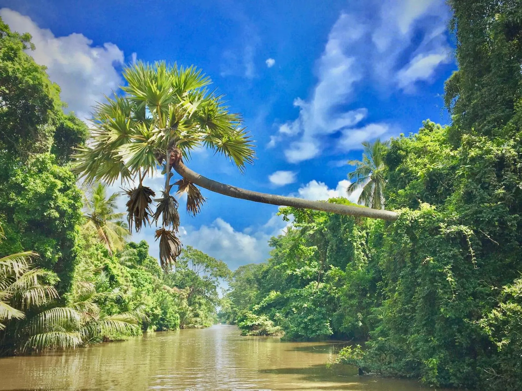 Area and facilities in Waterland