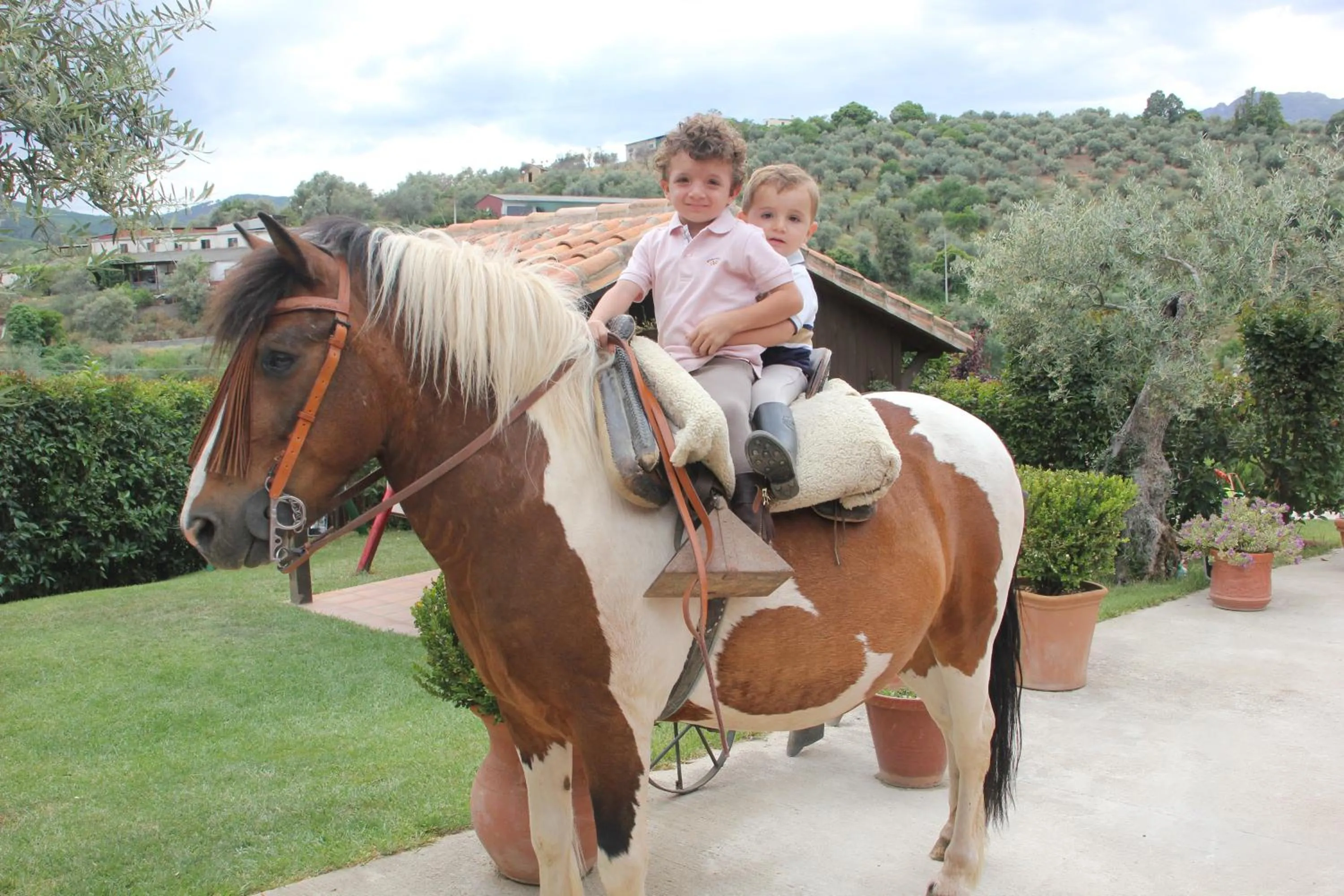 Horse-riding in Casa El Descanso Del Peregrino