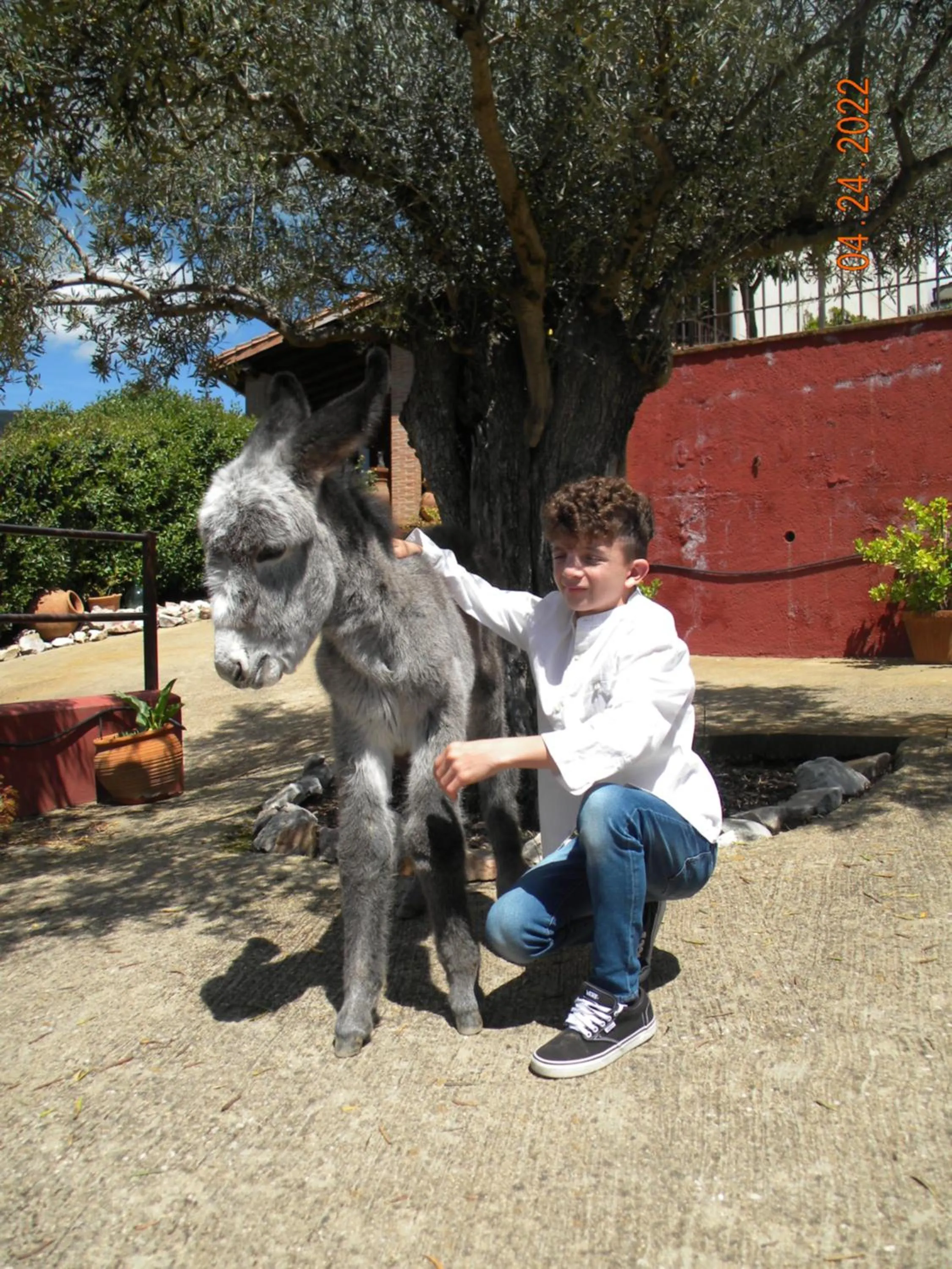 Animals in Casa El Descanso Del Peregrino