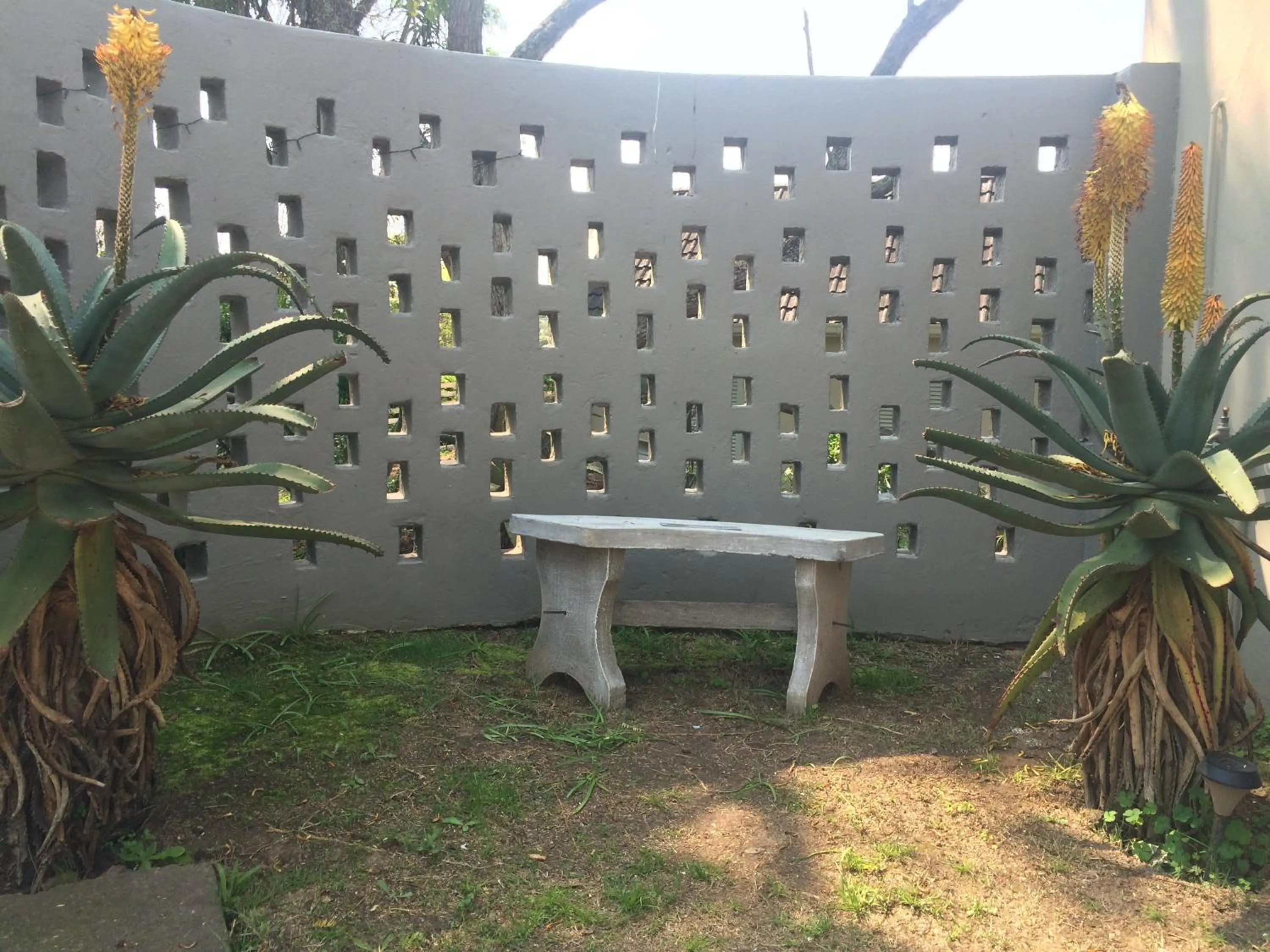 Garden in 30 on Oatlands Road