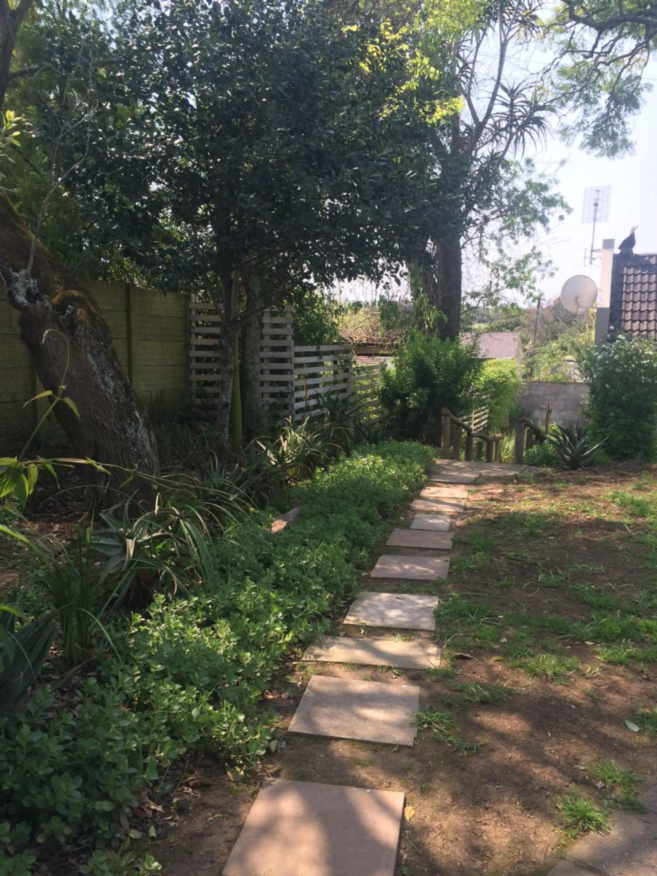 Garden in 30 on Oatlands Road