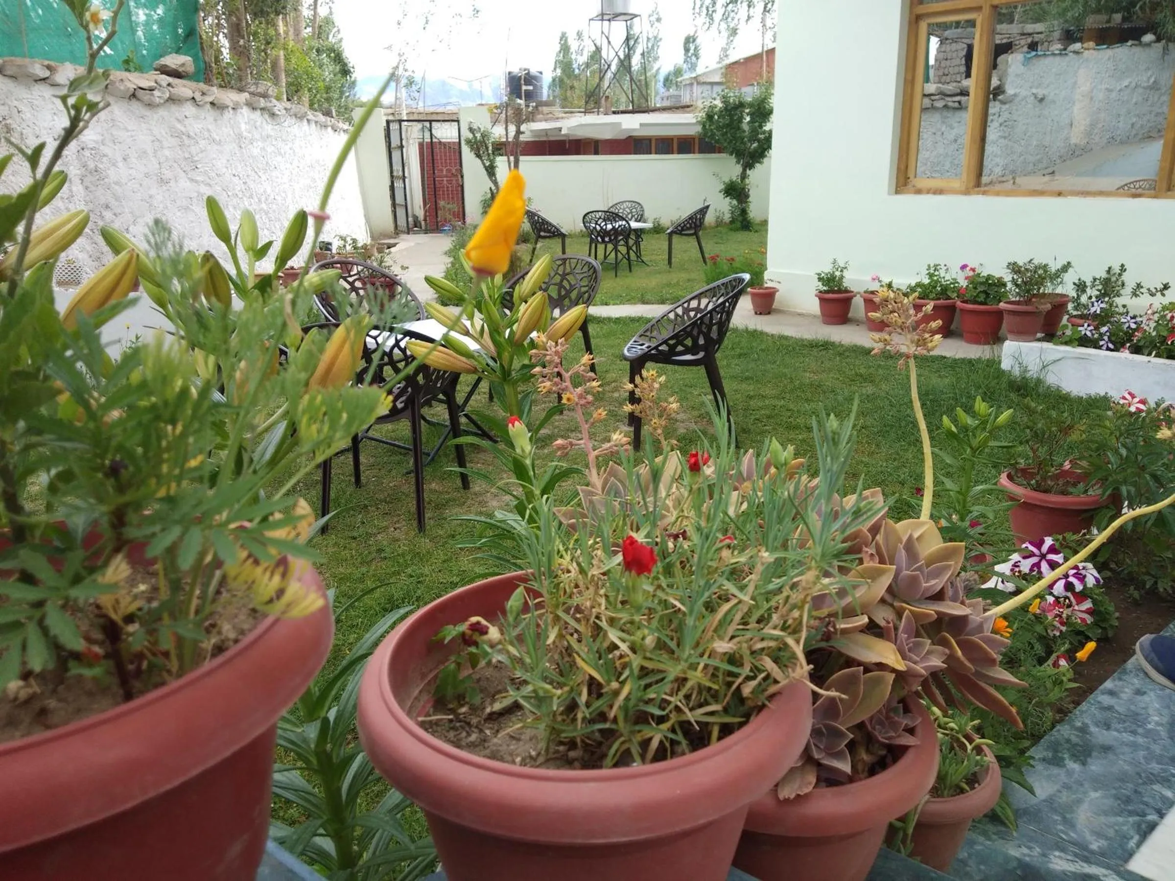 Garden in Royal Holiday Ladakh