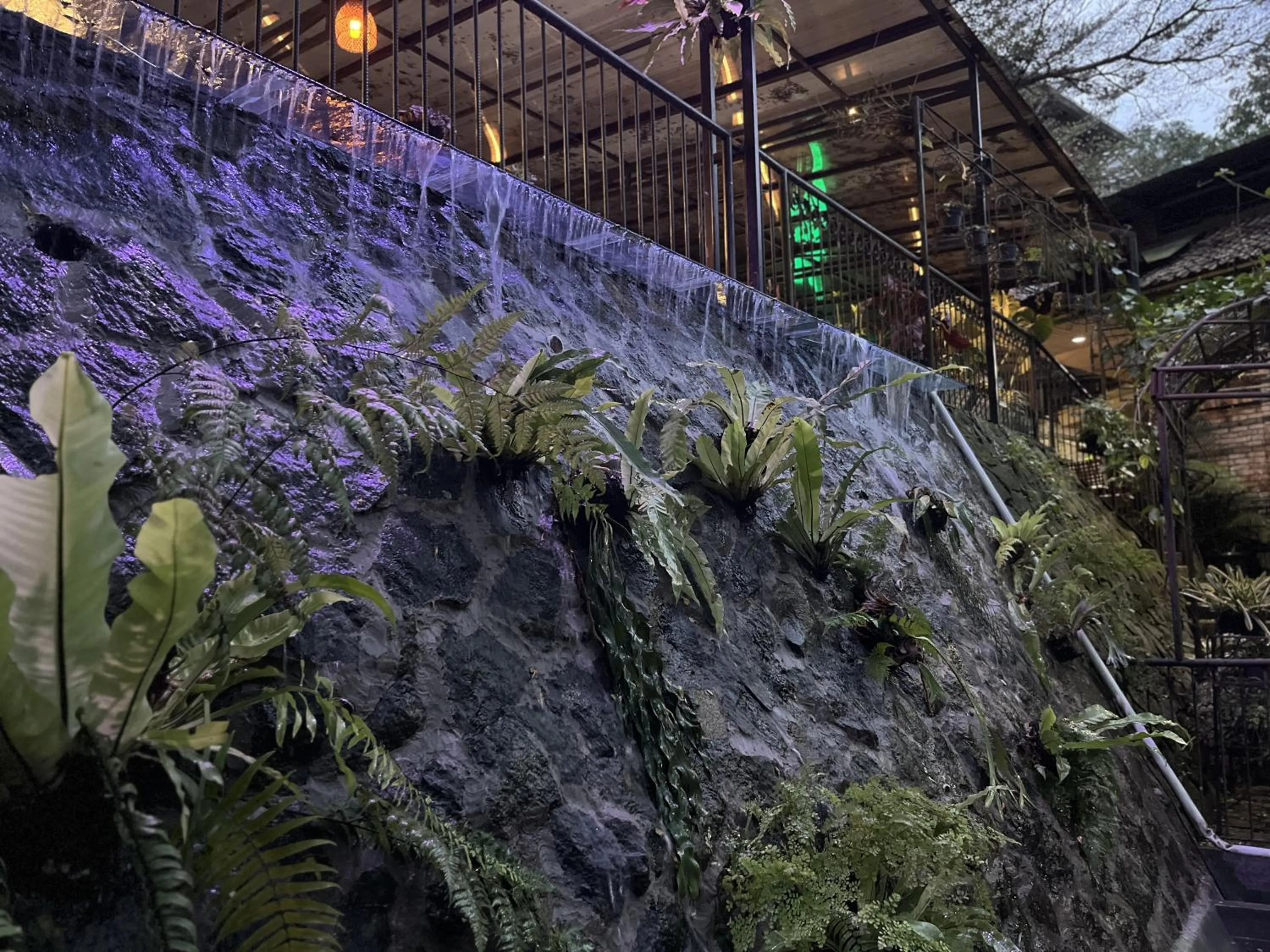 The Pinewood Lodge and Organic Farm