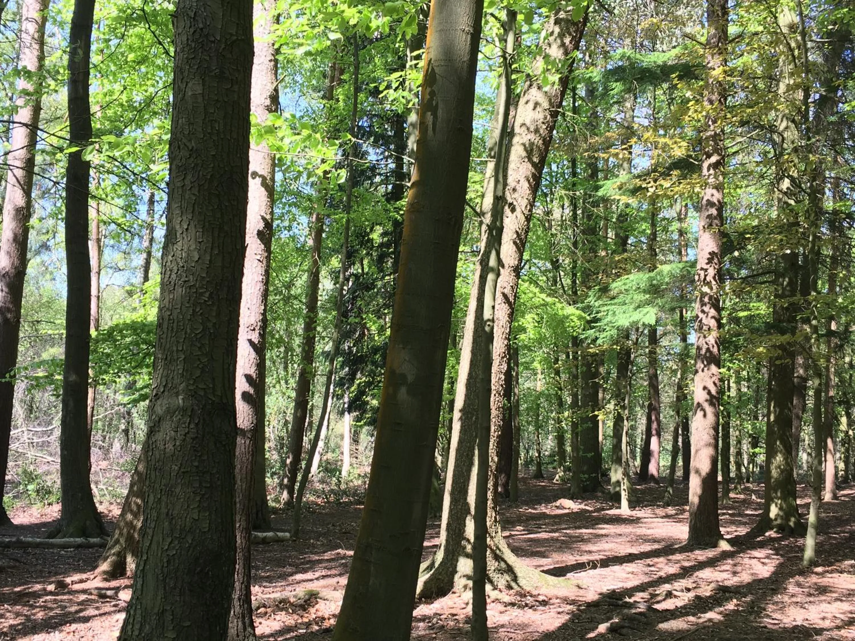 Natural landscape in Bybrook Barn Bed & Breakfast