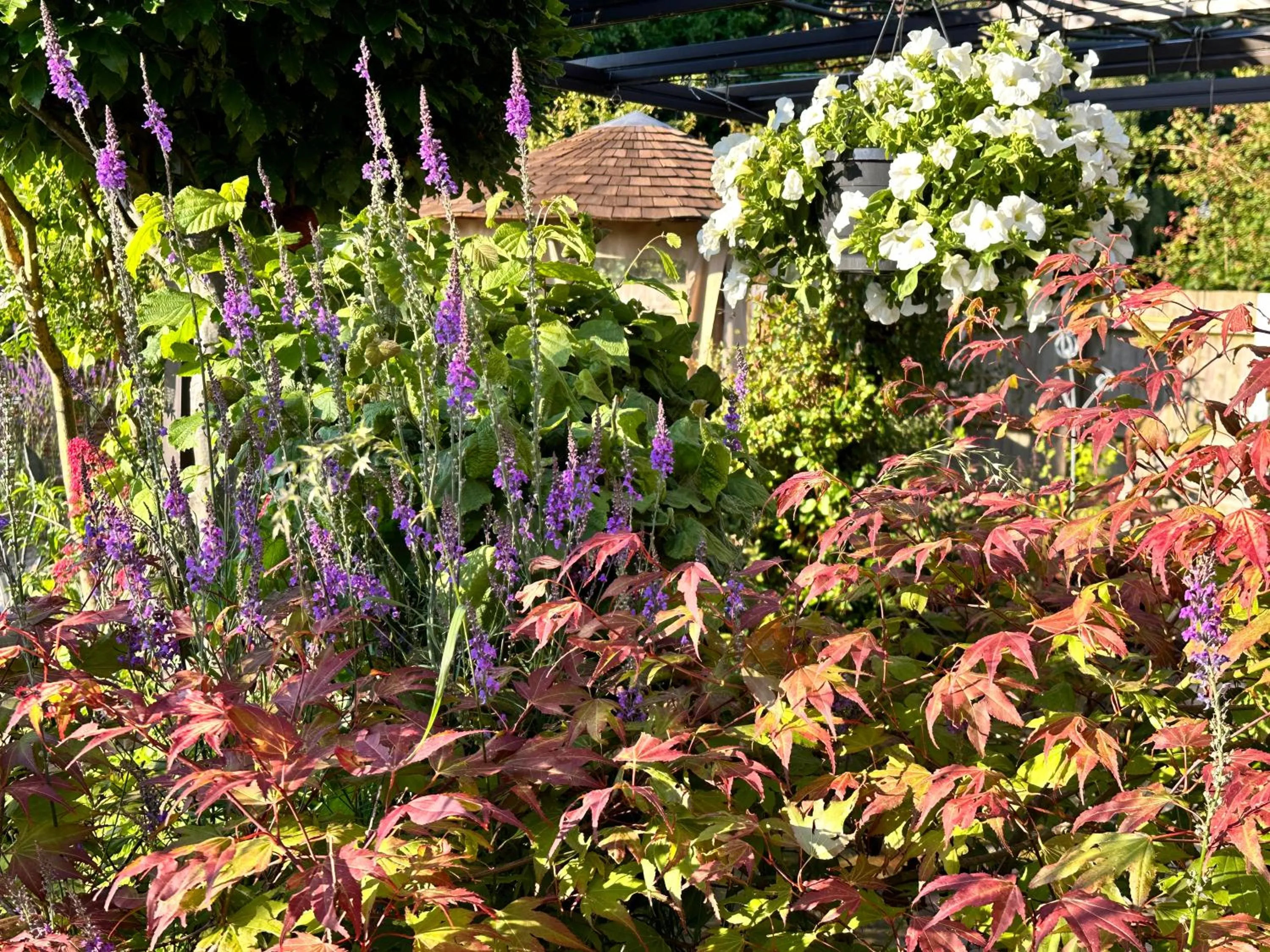 Bybrook Barn Bed & Breakfast