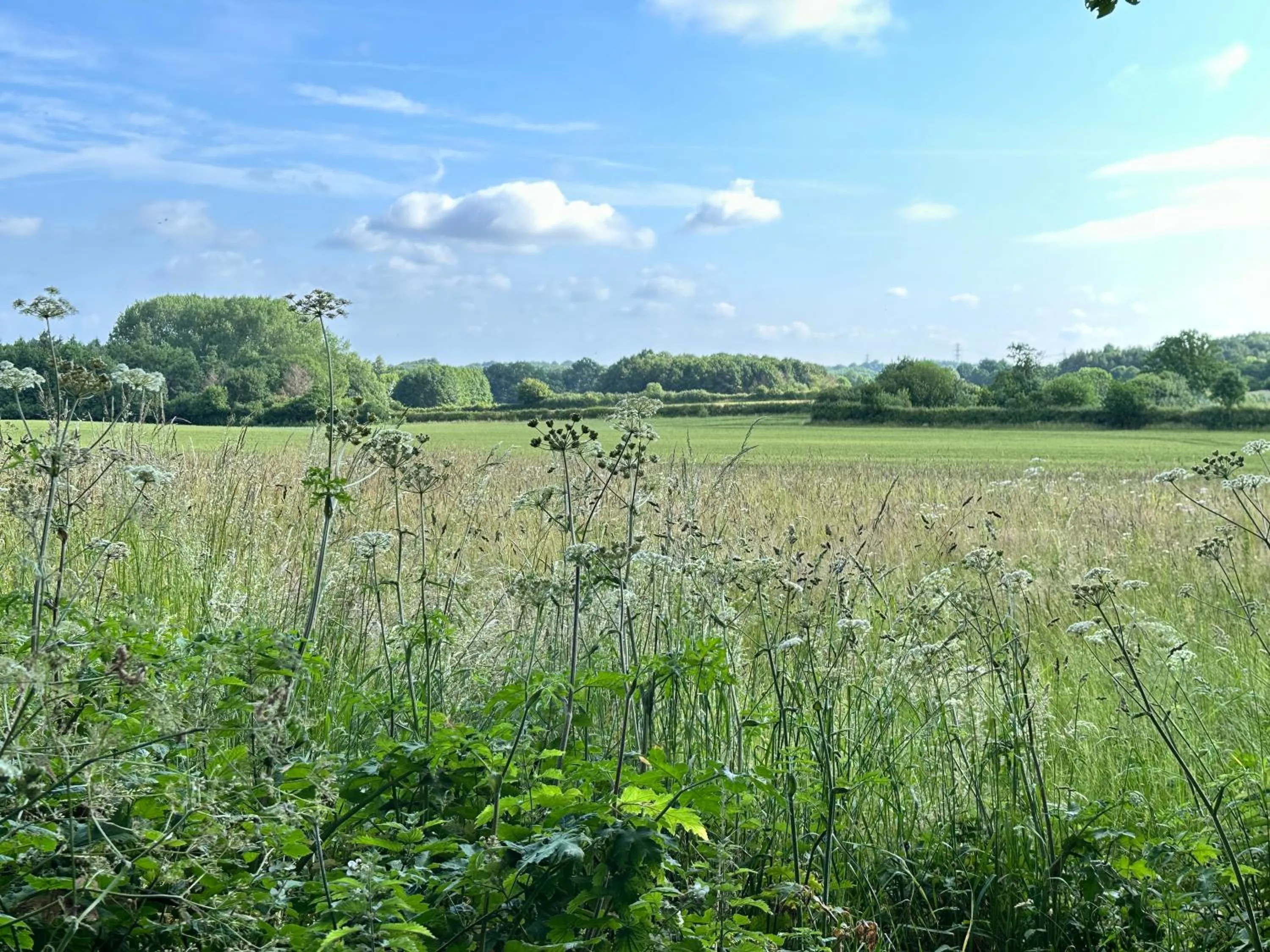 Bybrook Barn Bed & Breakfast