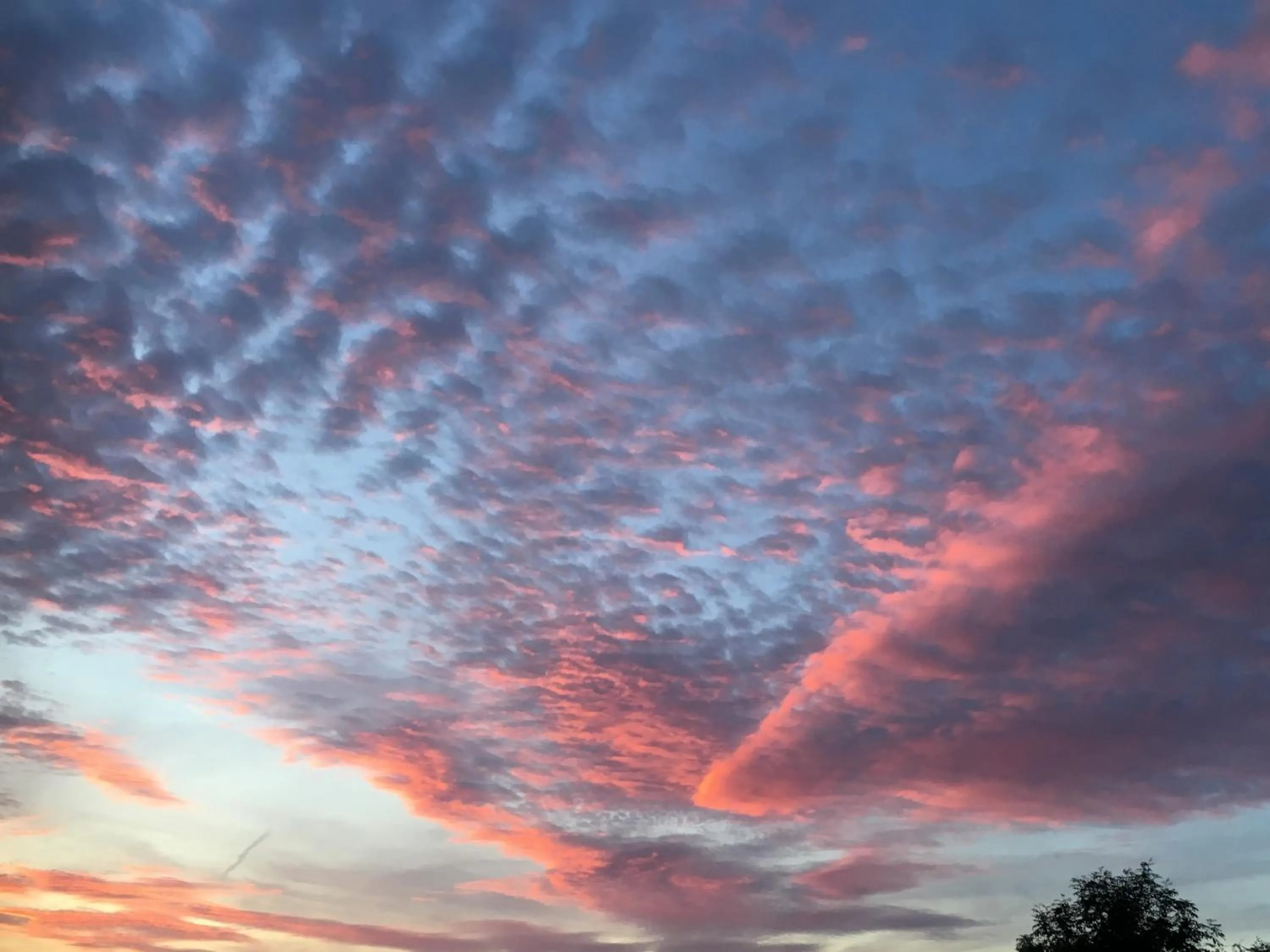 Garden view in Bybrook Barn Bed & Breakfast