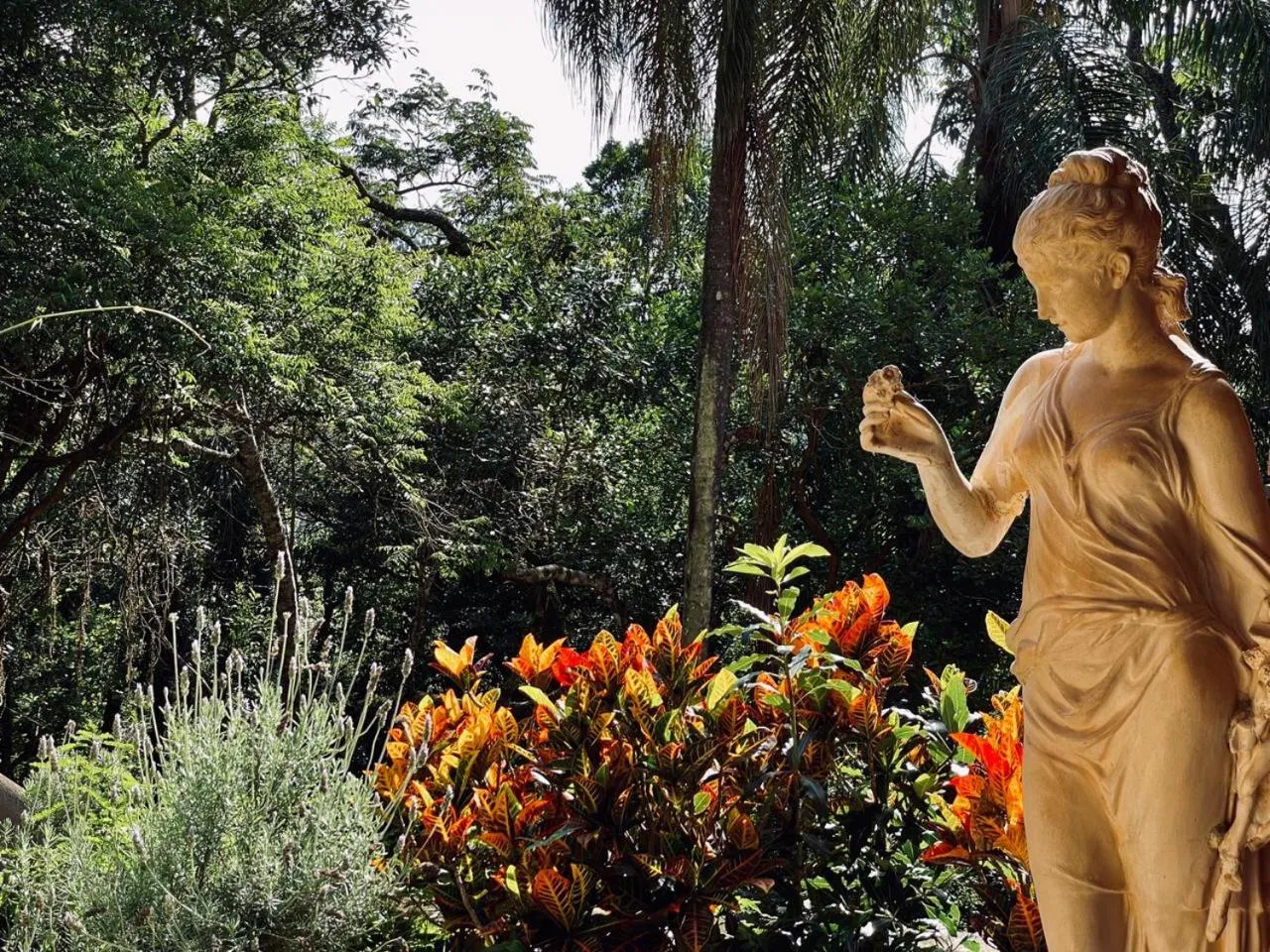 Garden in Villa Serena Bed & Breakfast