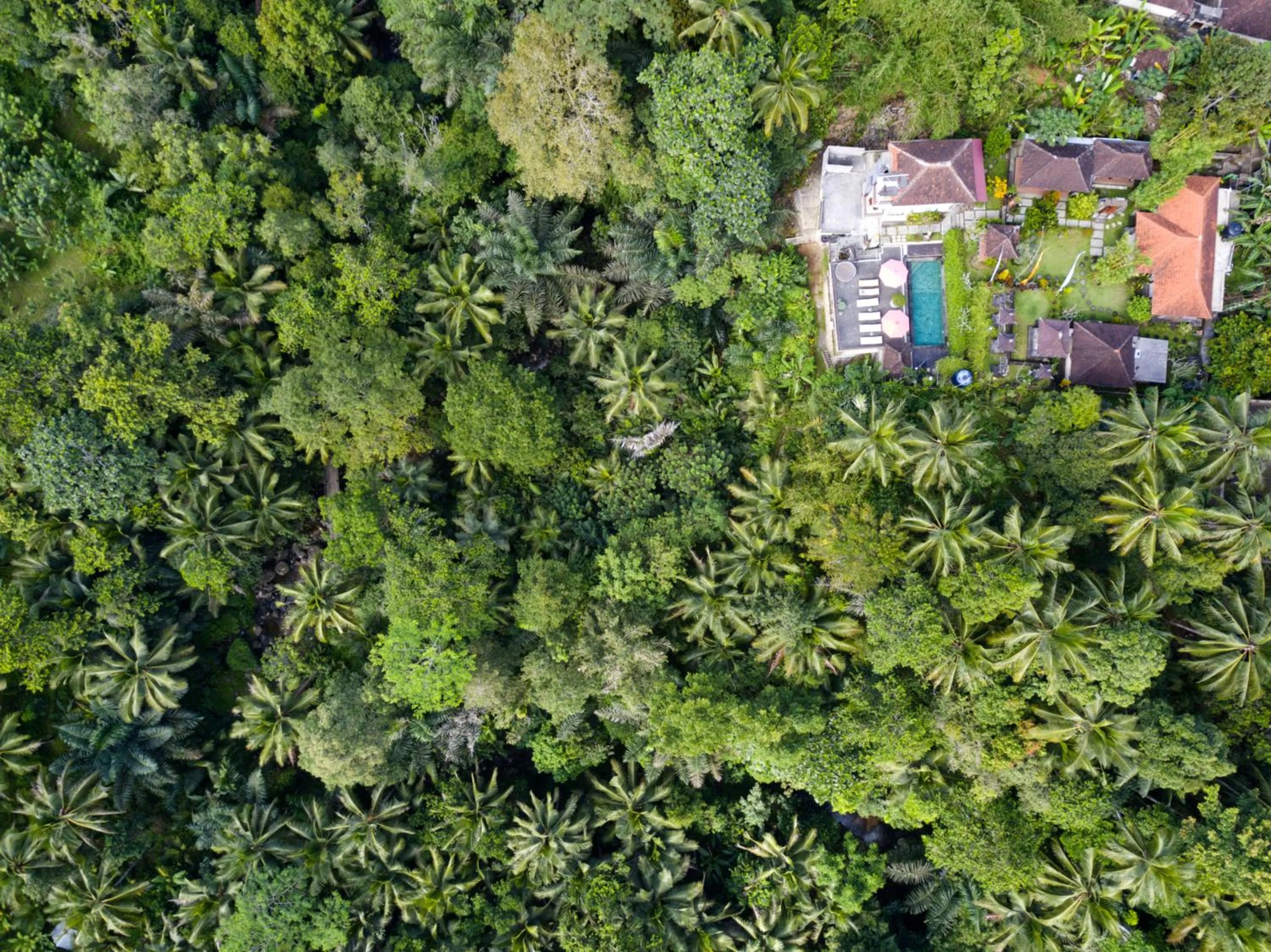 Bird's eye view in Astana Swaha Villa