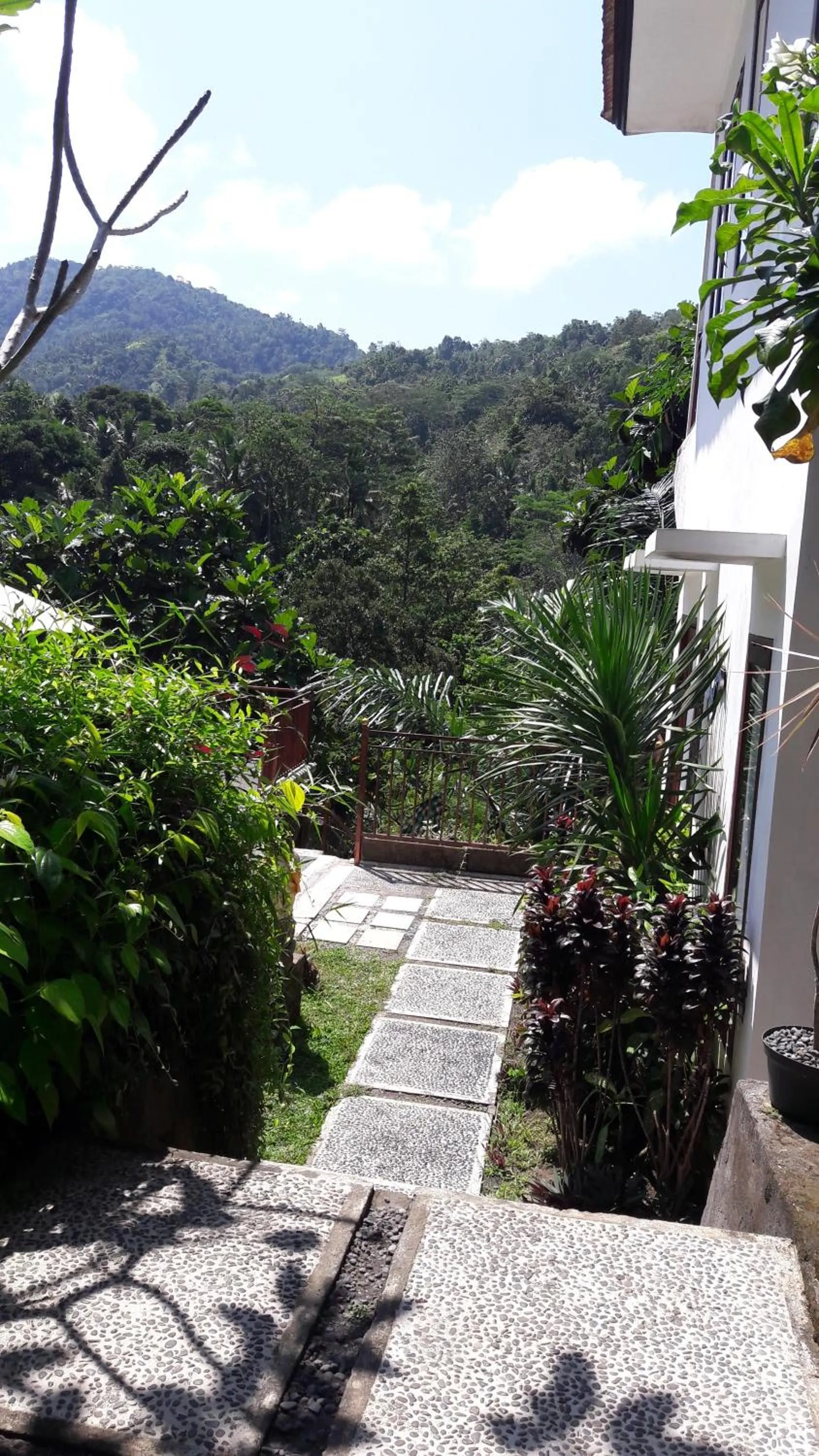 Garden in Astana Swaha Villa