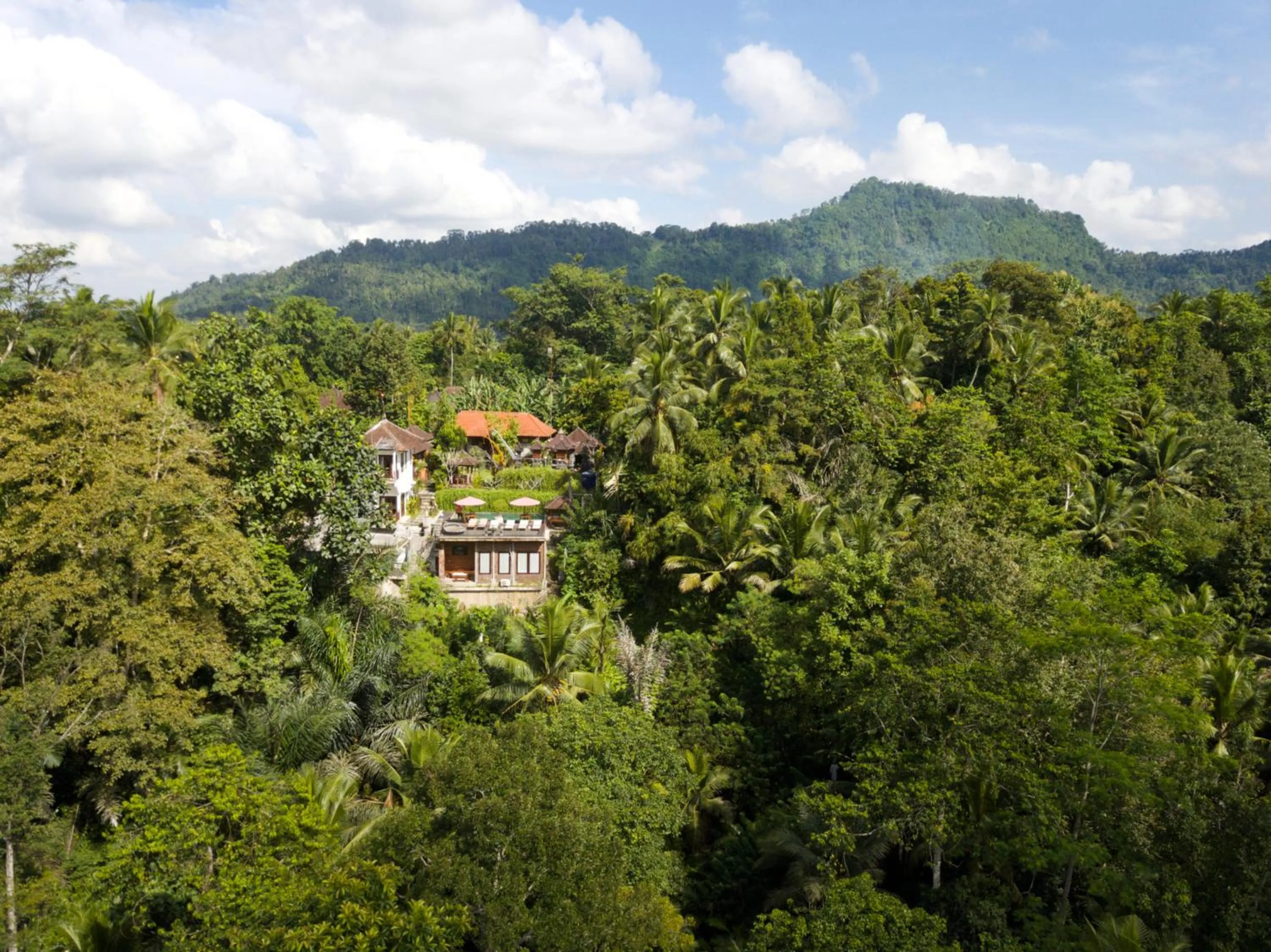 Natural landscape in Astana Swaha Villa