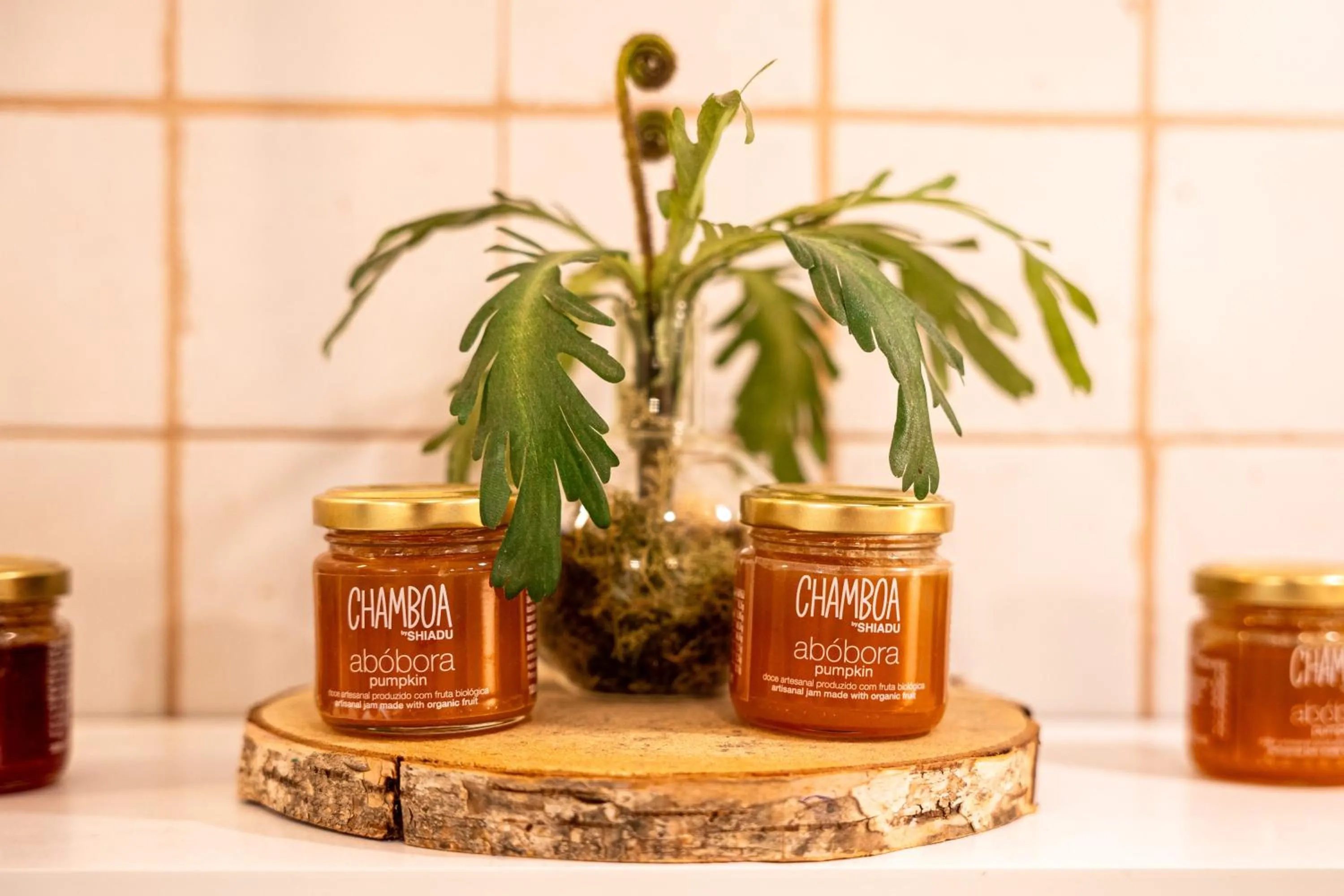 Breakfast in Casa do Jasmim by Shiadu